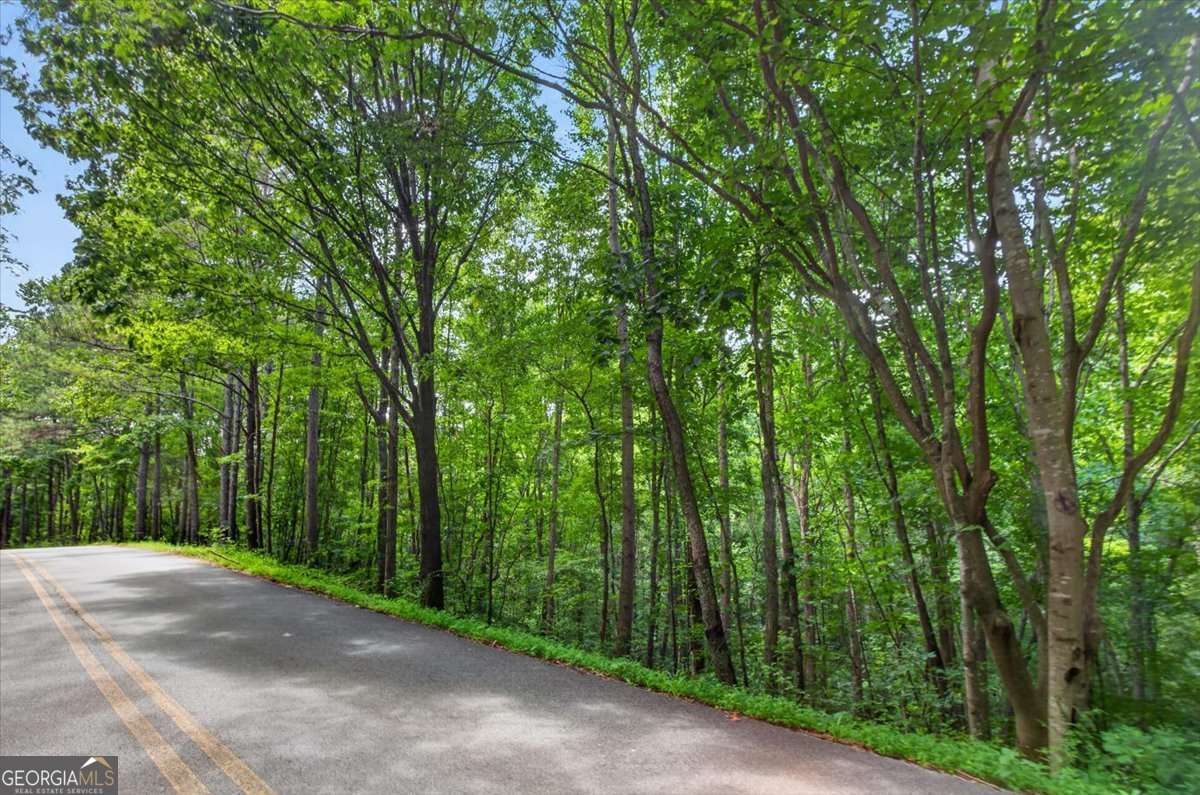 residential lot for sale at 0 Ginger Drive, Jasper, GA 30143 — photo 9