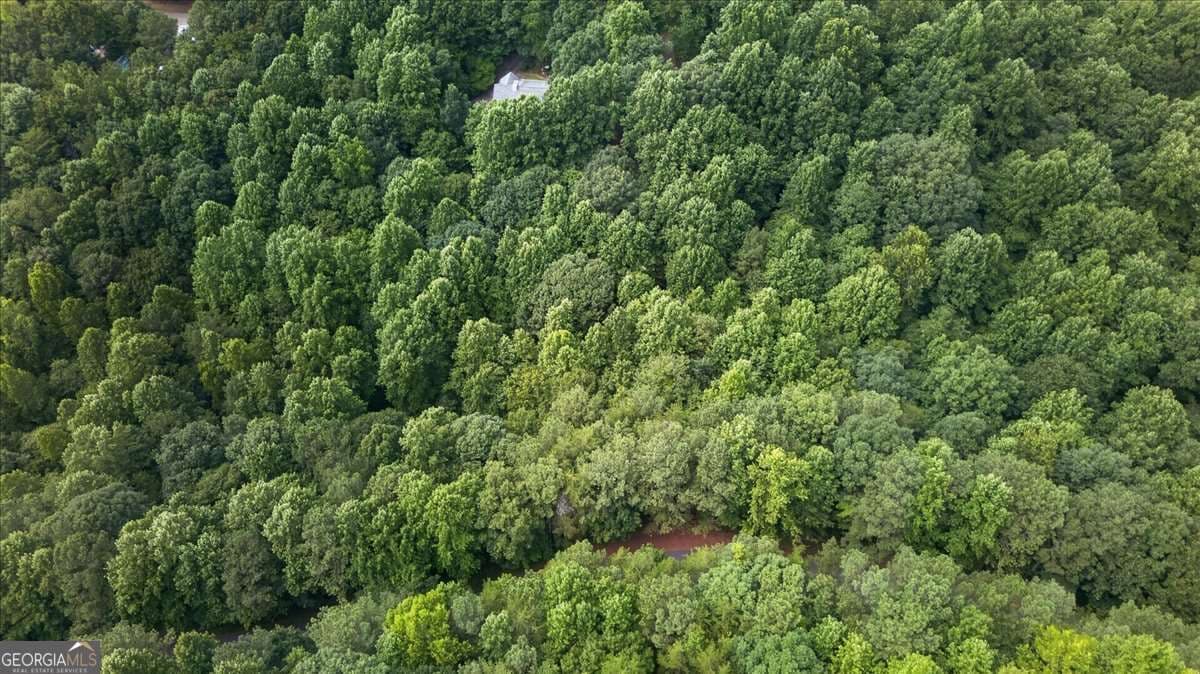 residential lot for sale at 0 Ginger Drive, Jasper, GA 30143 — photo 10