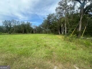 agriculture for sale at 3.86AC Post Road, Waynesville, GA 31566 — photo 2