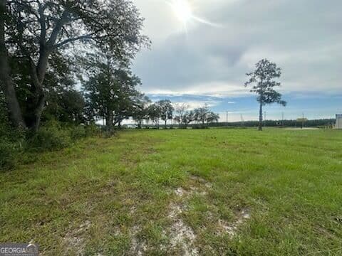 agriculture for sale at 3.86AC Post Road, Waynesville, GA 31566 — photo 3