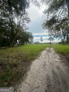 agriculture for sale at 3.86AC Post Road, Waynesville, GA 31566 — photo 4