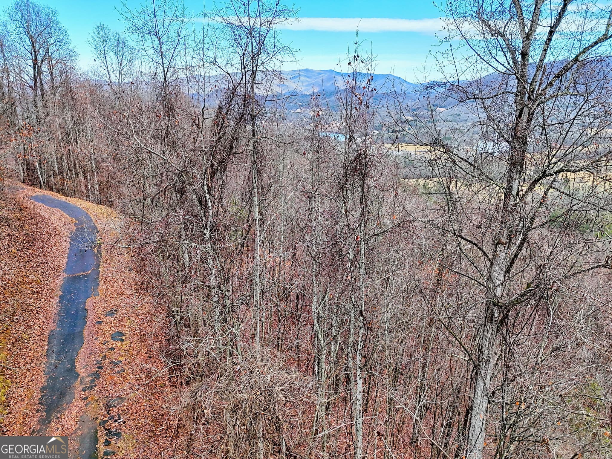 3 bedroom, 3.5 bathroom single family residence for sale at 162 Eagles View Valley, Hayesville, NC 28904 — photo 5