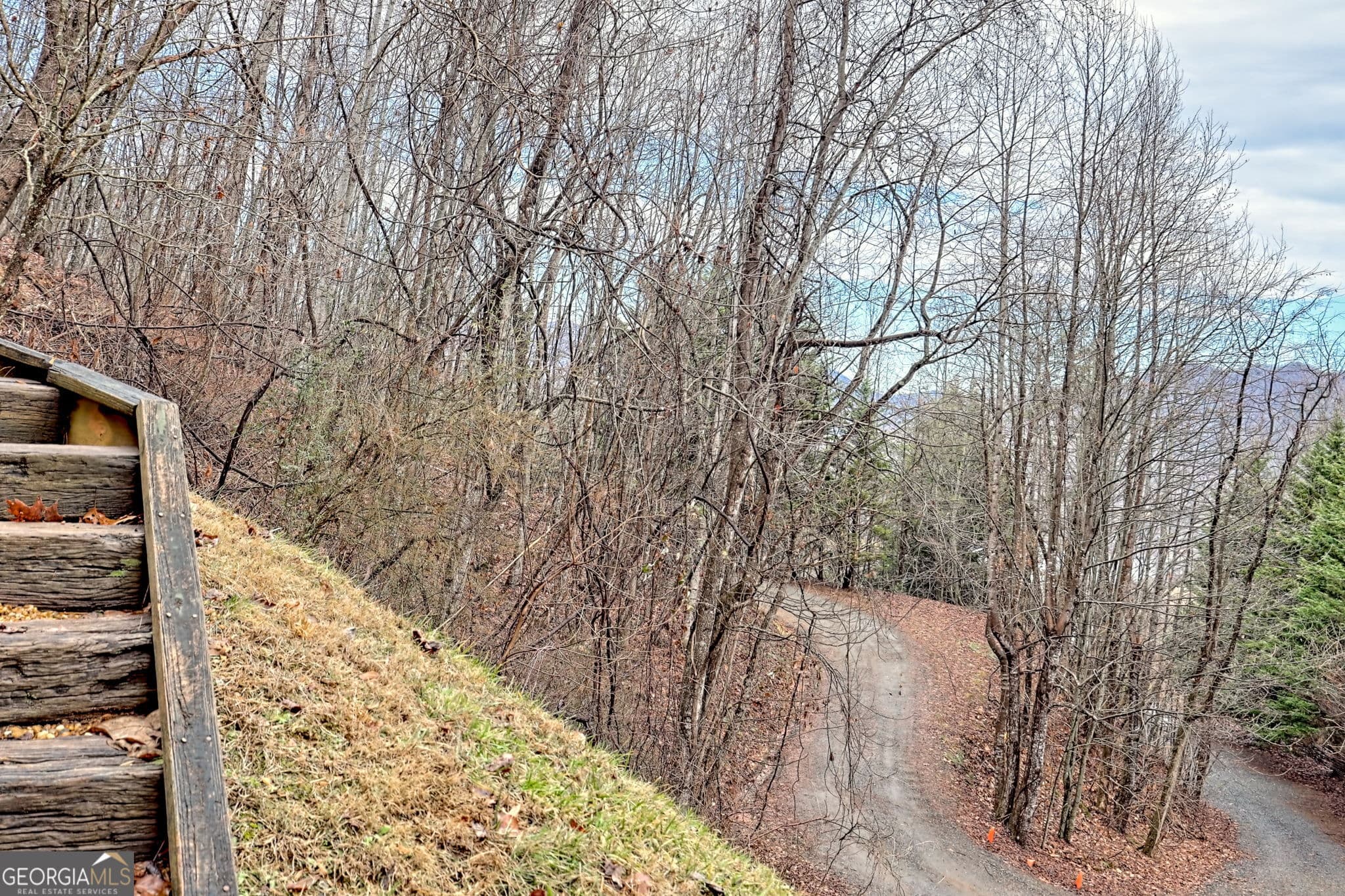 3 bedroom, 3.5 bathroom single family residence for sale at 162 Eagles View Valley, Hayesville, NC 28904 — photo 9