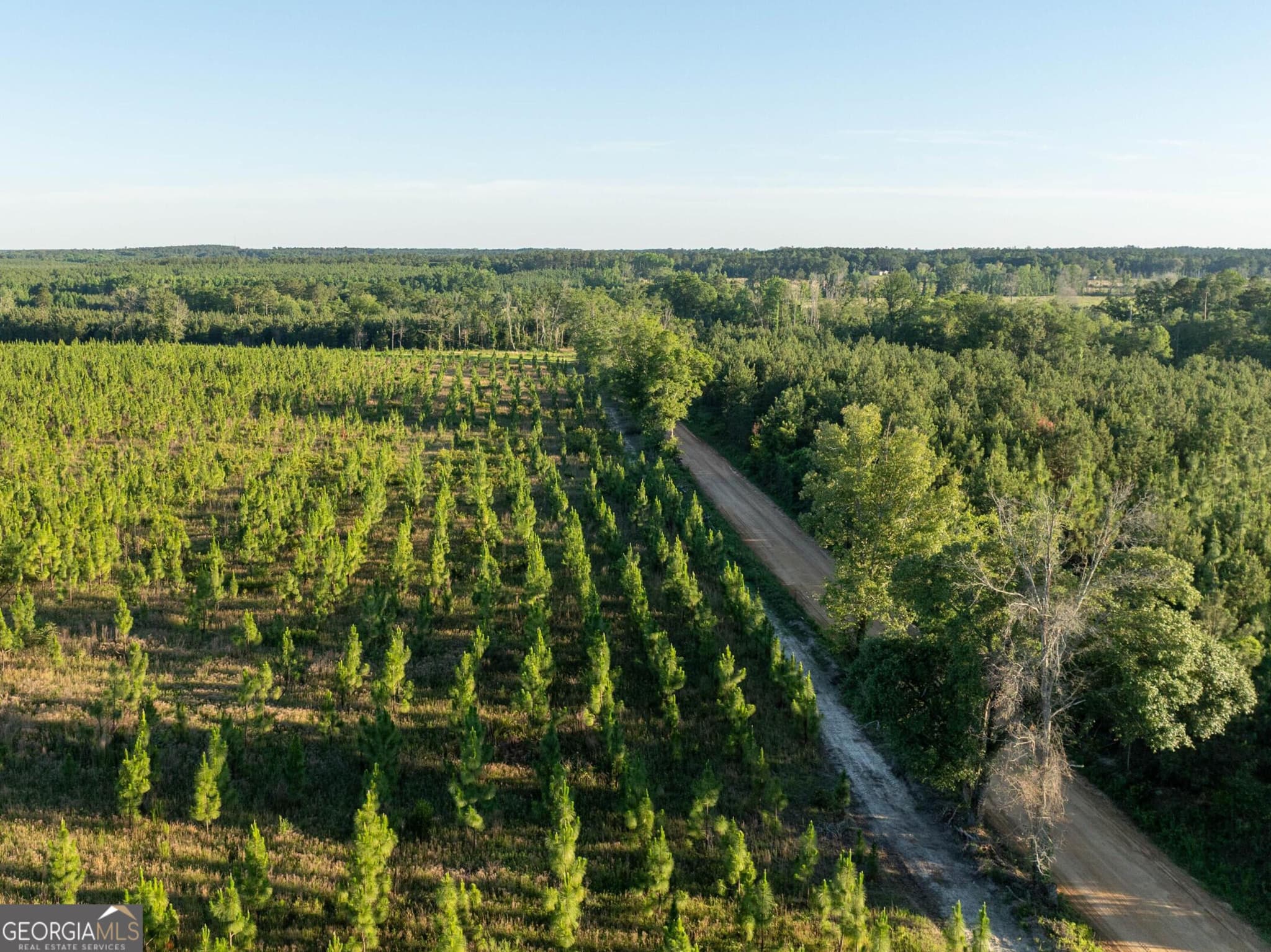 agriculture sold at 003 Beulah Road TRACT 3, Sylvania, GA 30467