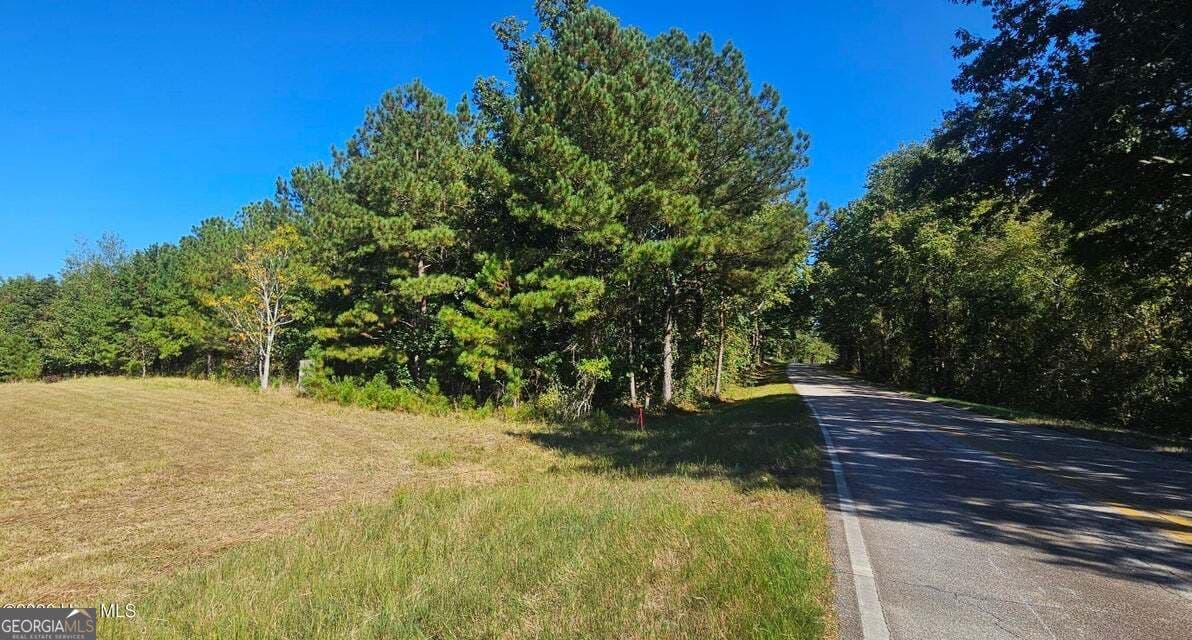 agriculture under contract at TRACT 3 BETHANY CHURCH Road, Lincolnton, GA 30817 — photo 3