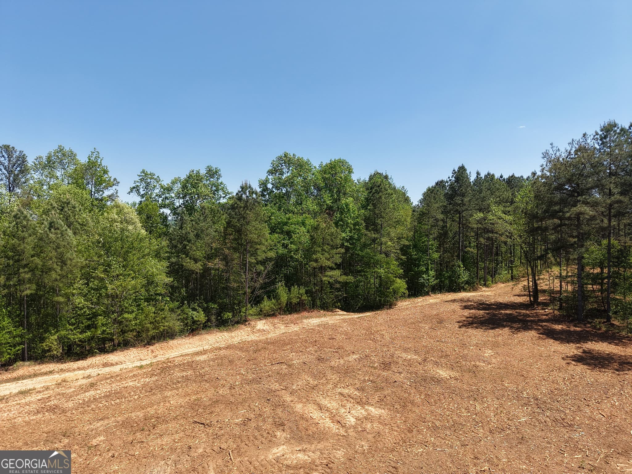 unimproved land for sale at 0 Ryo Mountain Road 9609, Fairmount, GA 30139 — photo 6