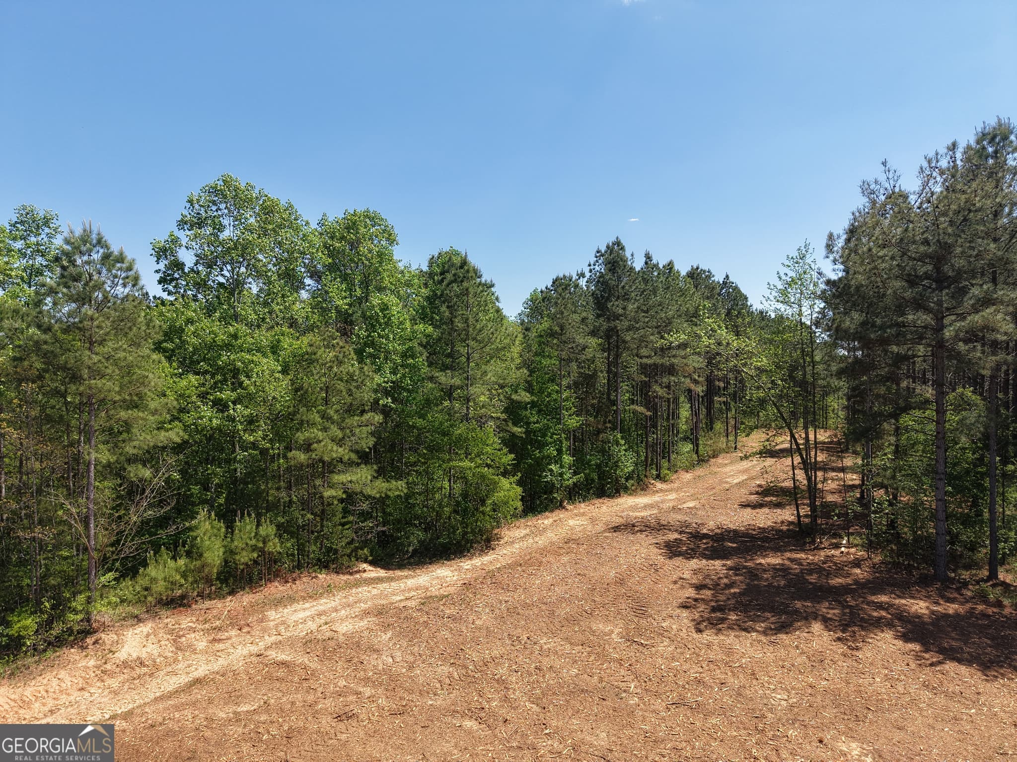 unimproved land for sale at 0 Ryo Mountain Road 9609, Fairmount, GA 30139 — photo 7