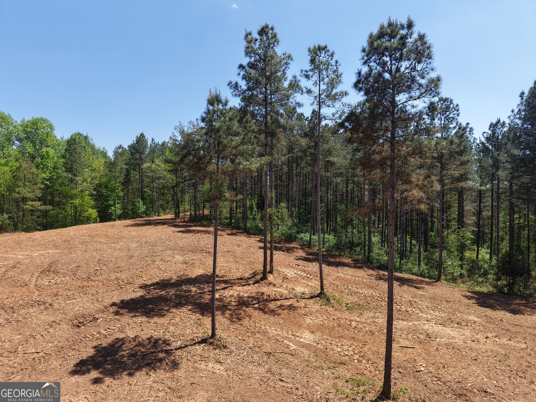 unimproved land for sale at 0 Ryo Mountain Road 9609, Fairmount, GA 30139 — photo 5