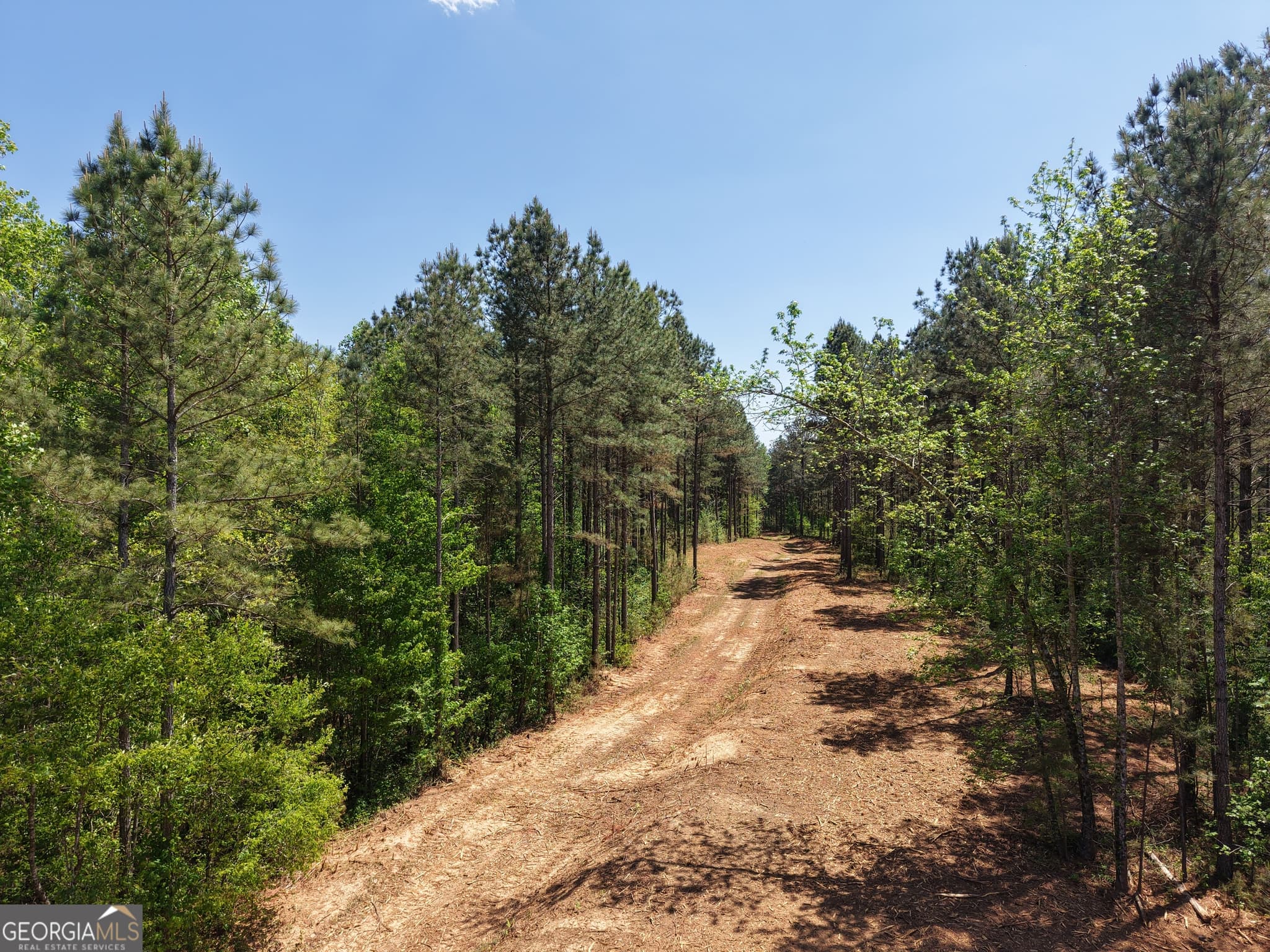 unimproved land for sale at 0 Ryo Mountain Road 9609, Fairmount, GA 30139 — photo 9