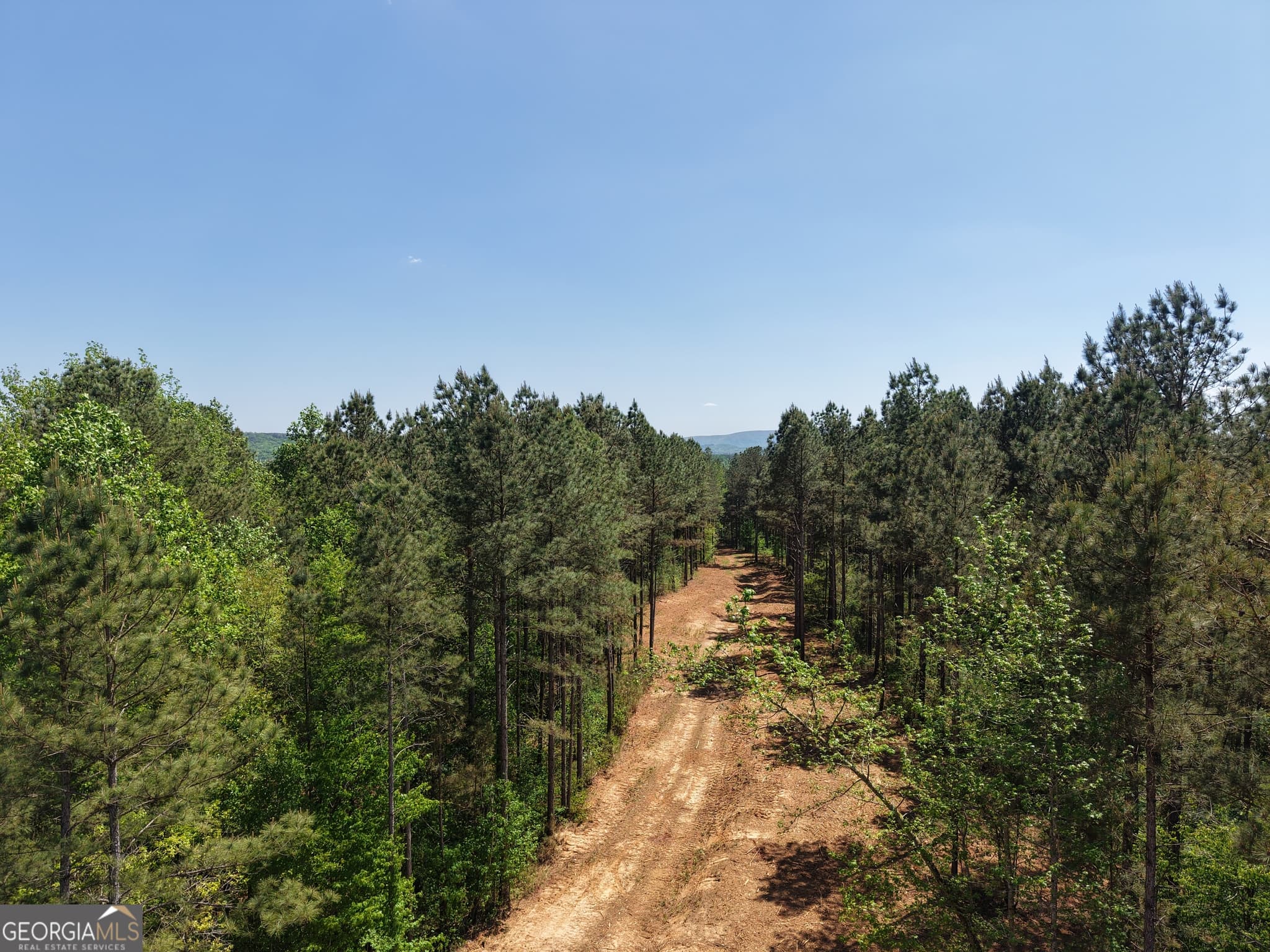 unimproved land for sale at 0 Ryo Mountain Road 9609, Fairmount, GA 30139 — photo 10
