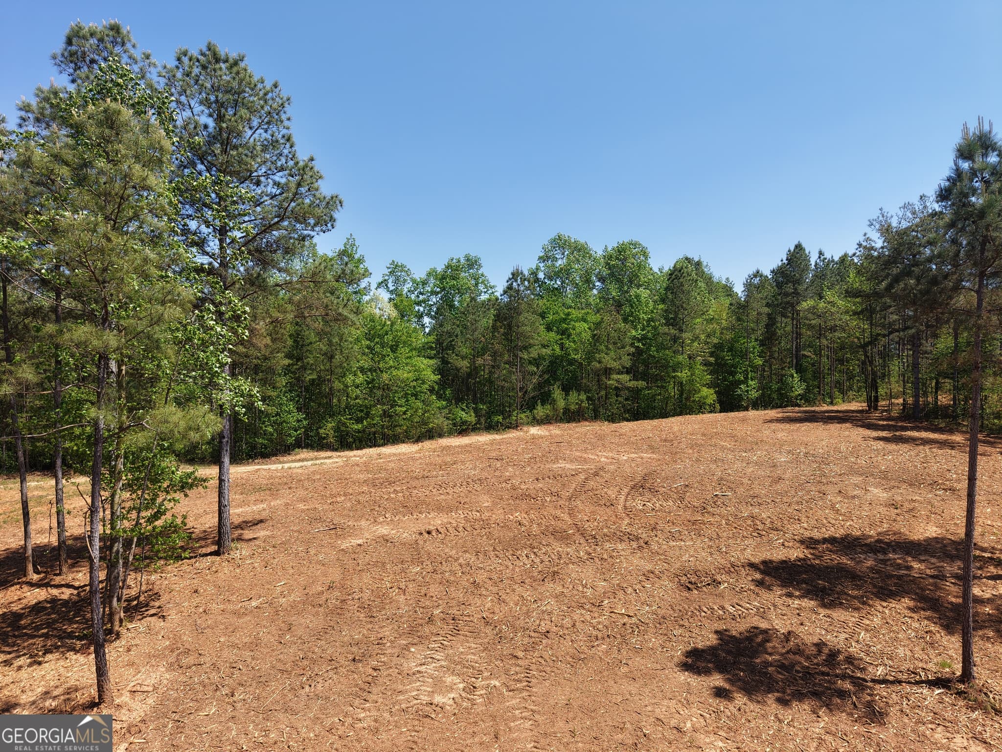 unimproved land for sale at 0 Ryo Mountain Road 9609, Fairmount, GA 30139 — photo 4
