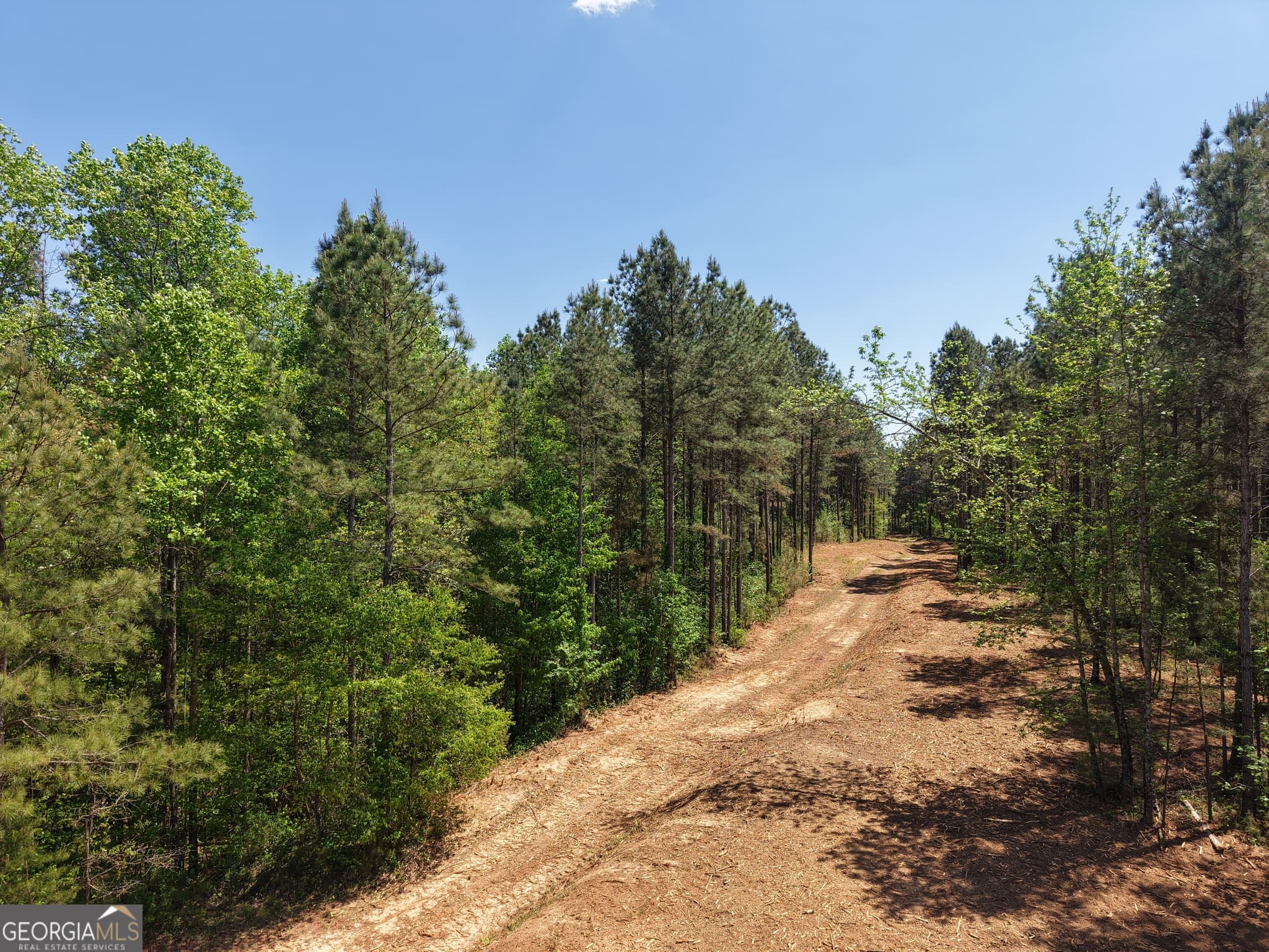 unimproved land for sale at 0 Ryo Mountain Road 9609, Fairmount, GA 30139 — photo 8