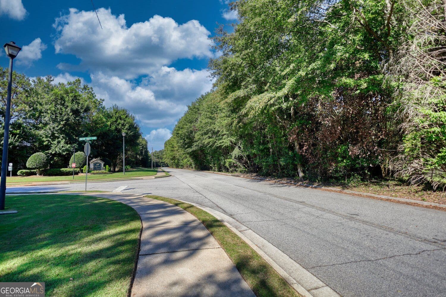 unimproved land for sale at 164 Womack Road, Covington, GA 30016 — photo 9