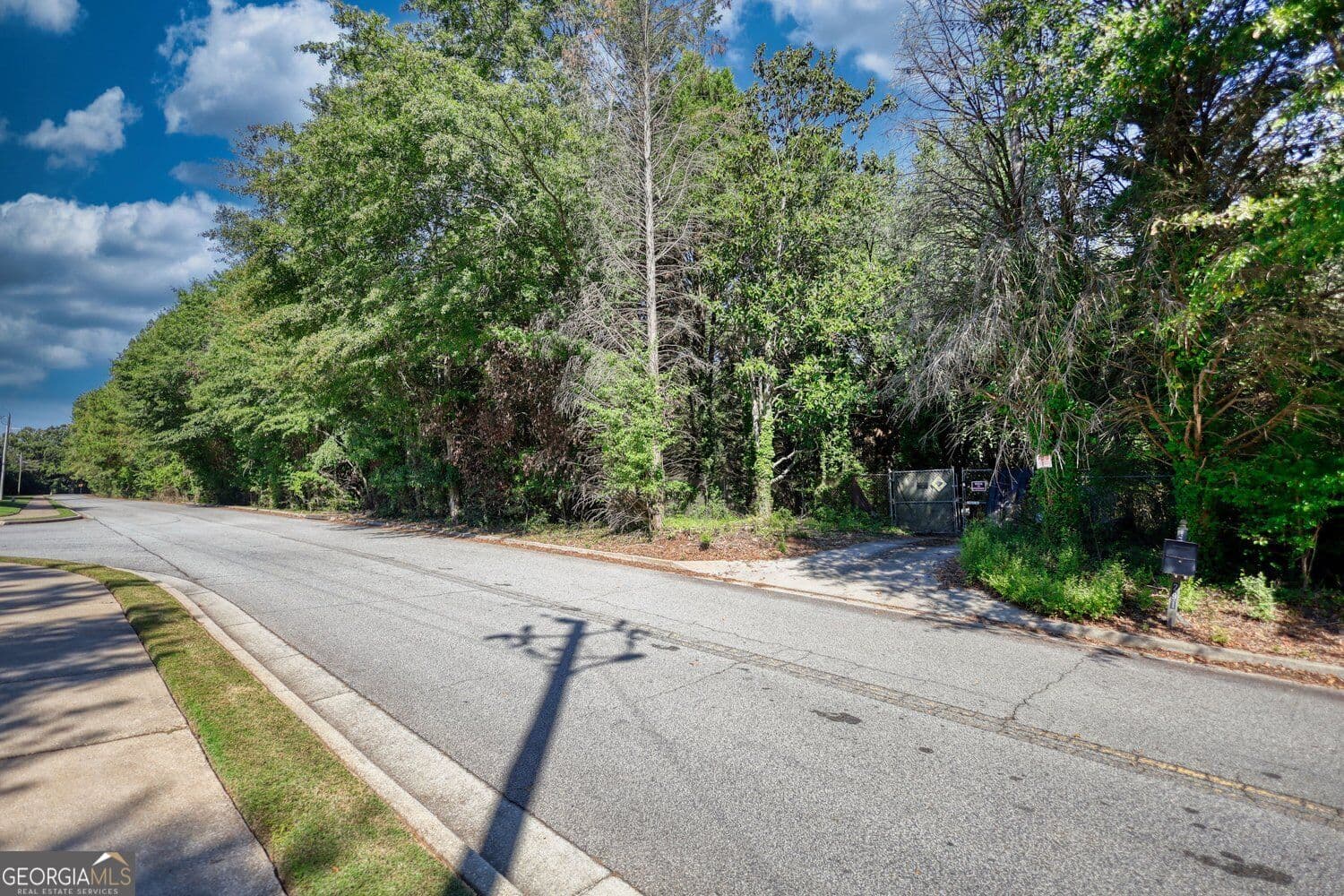 unimproved land for sale at 164 Womack Road, Covington, GA 30016 — photo 8