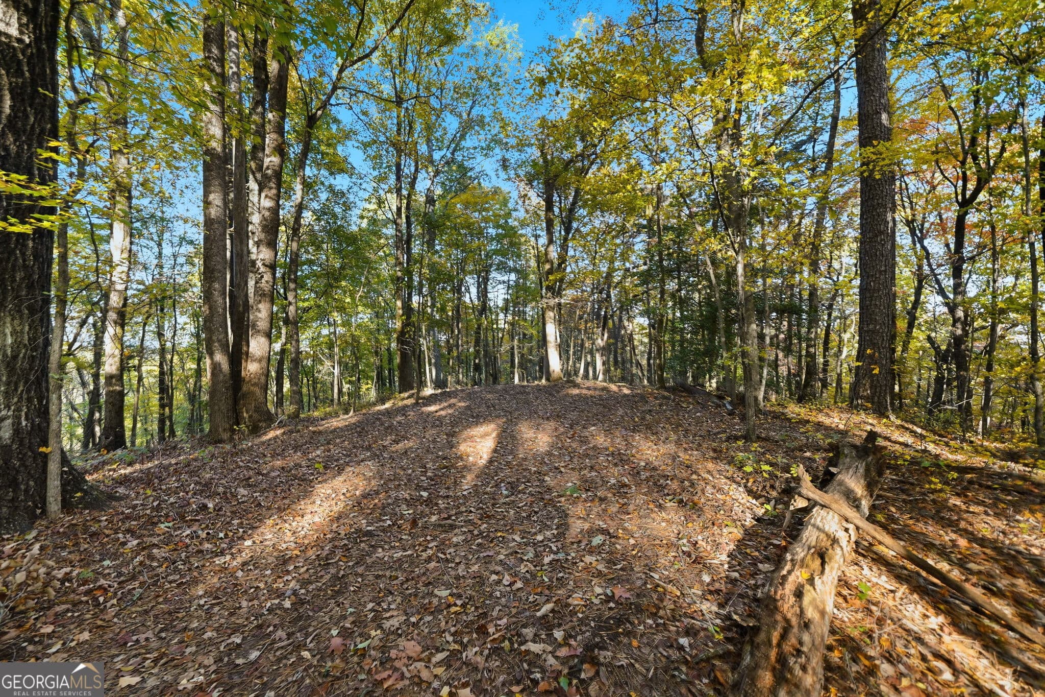 agriculture for sale at 1500 Sunset Trail, Talking Rock, GA 30175 — photo 7