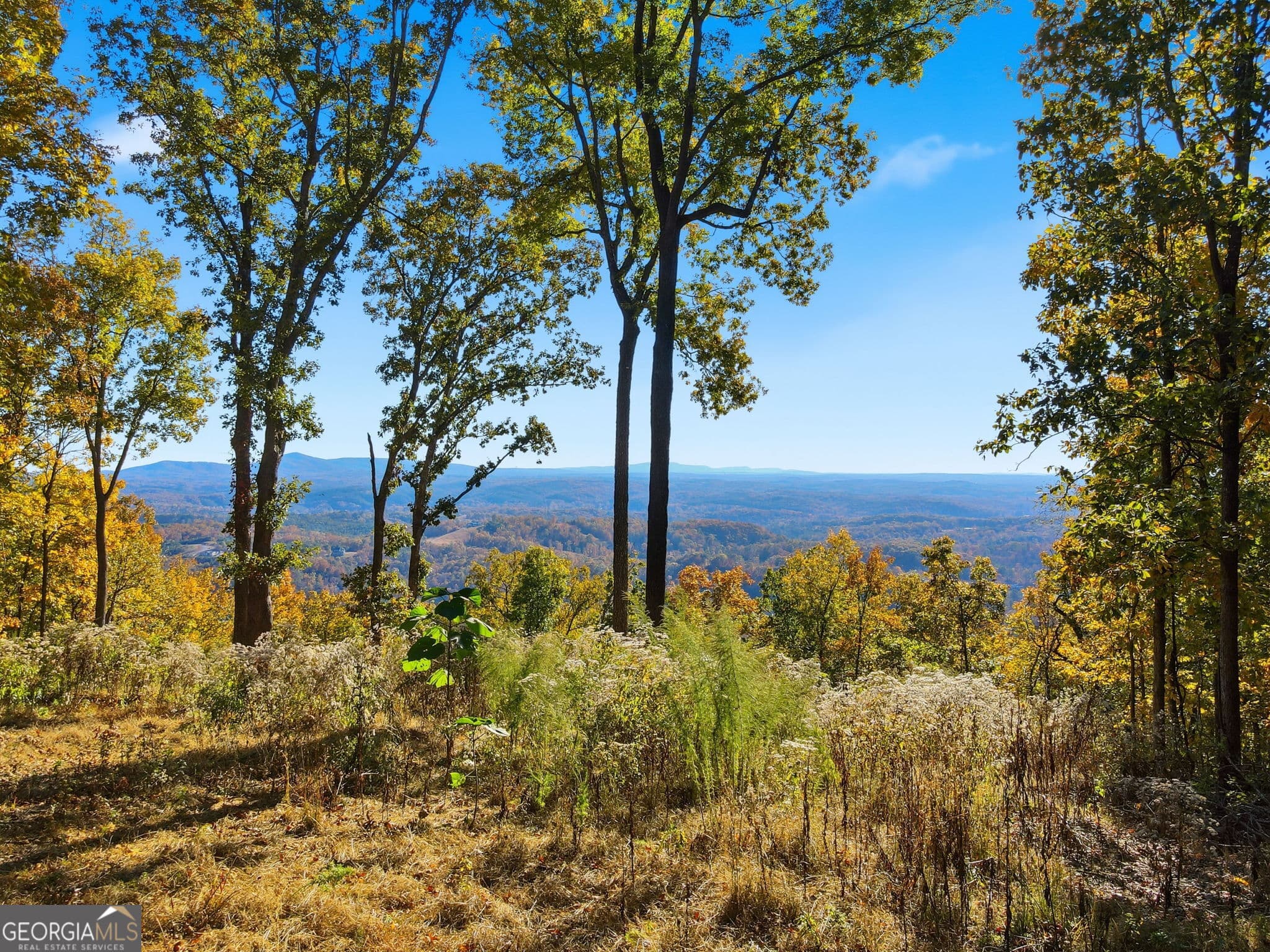 agriculture for sale at 1500 Sunset Trail, Talking Rock, GA 30175 — photo 5