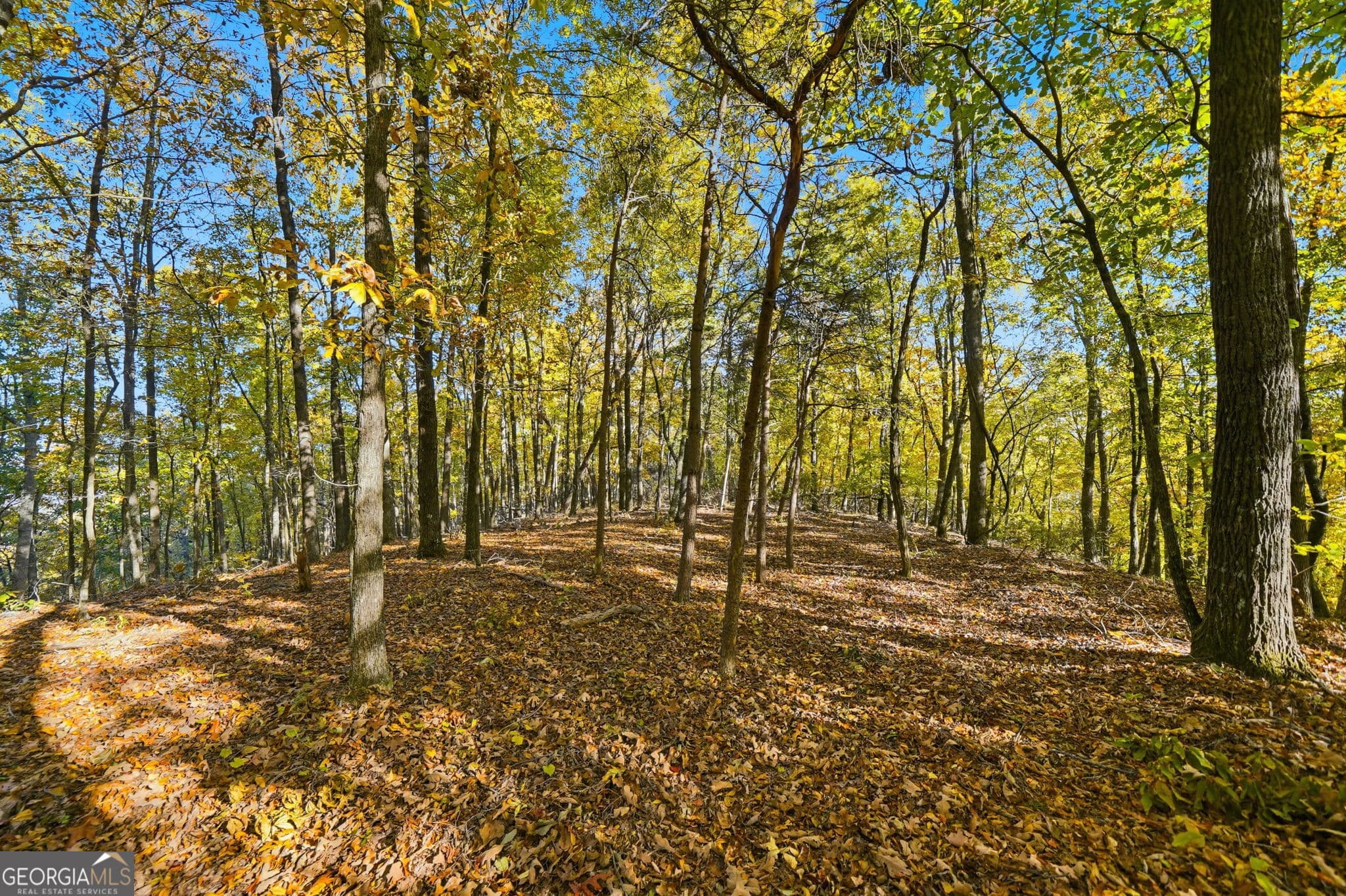 agriculture for sale at 1500 Sunset Trail, Talking Rock, GA 30175 — photo 10