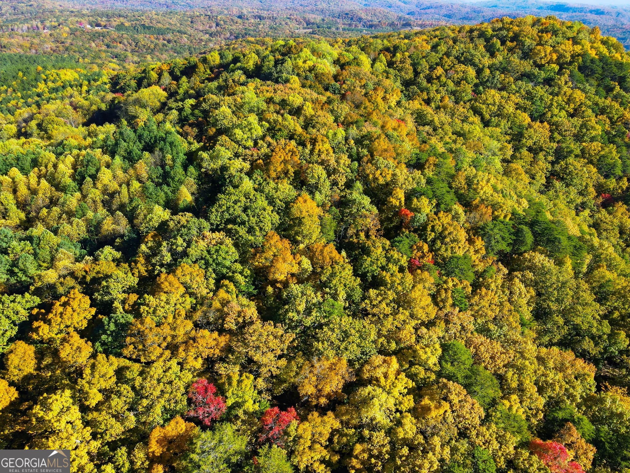 agriculture for sale at 1500 Sunset Trail, Talking Rock, GA 30175 — photo 4