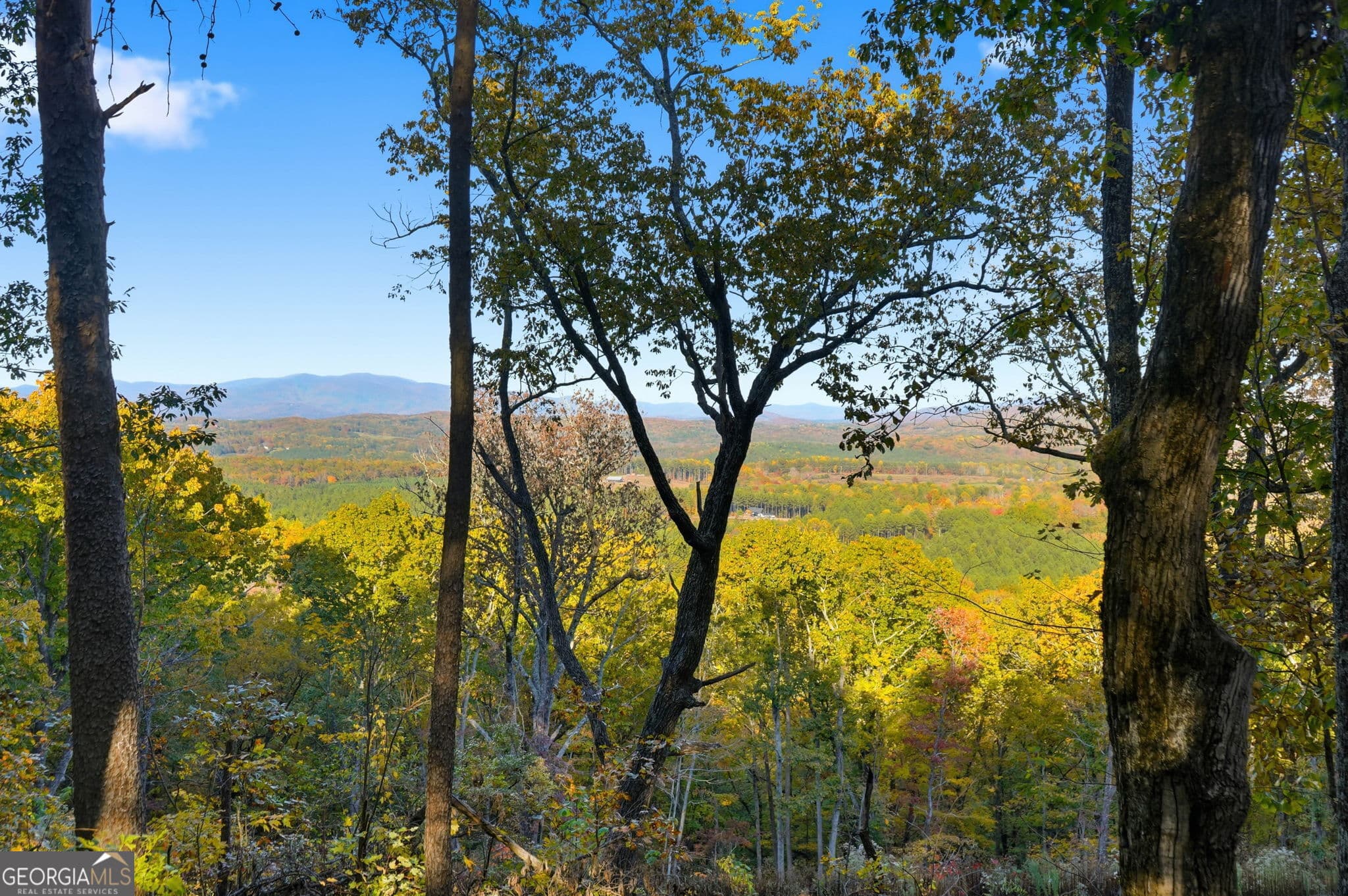 agriculture for sale at 1500 Sunset Trail, Talking Rock, GA 30175 — photo 8