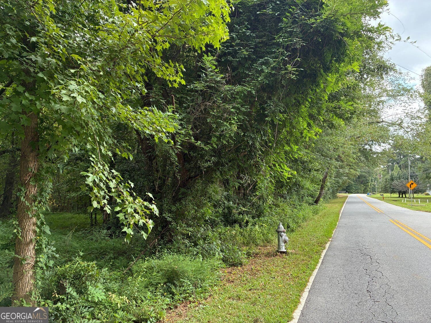 residential lot for sale at 2943 Demooney Road, South Fulton, GA 30349 — photo 2