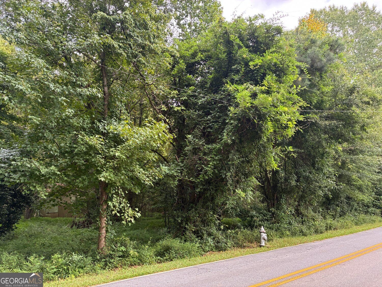 residential lot for sale at 2943 Demooney Road, South Fulton, GA 30349 — photo 3