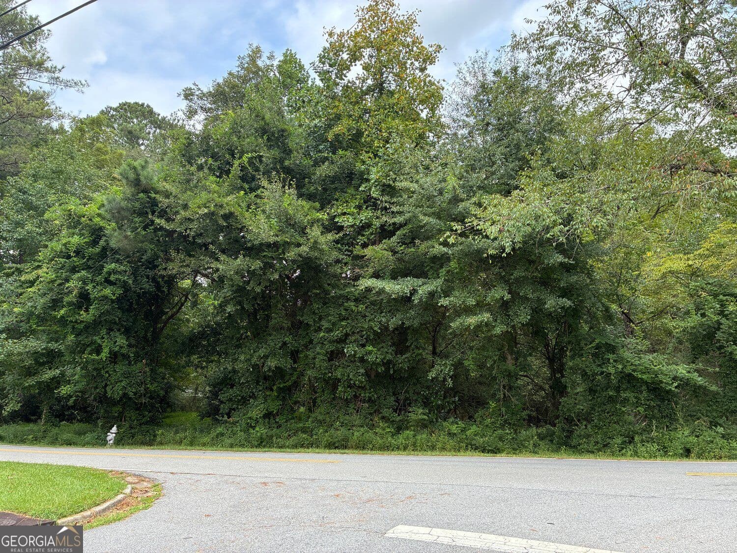 residential lot for sale at 2943 Demooney Road, South Fulton, GA 30349 — photo 5