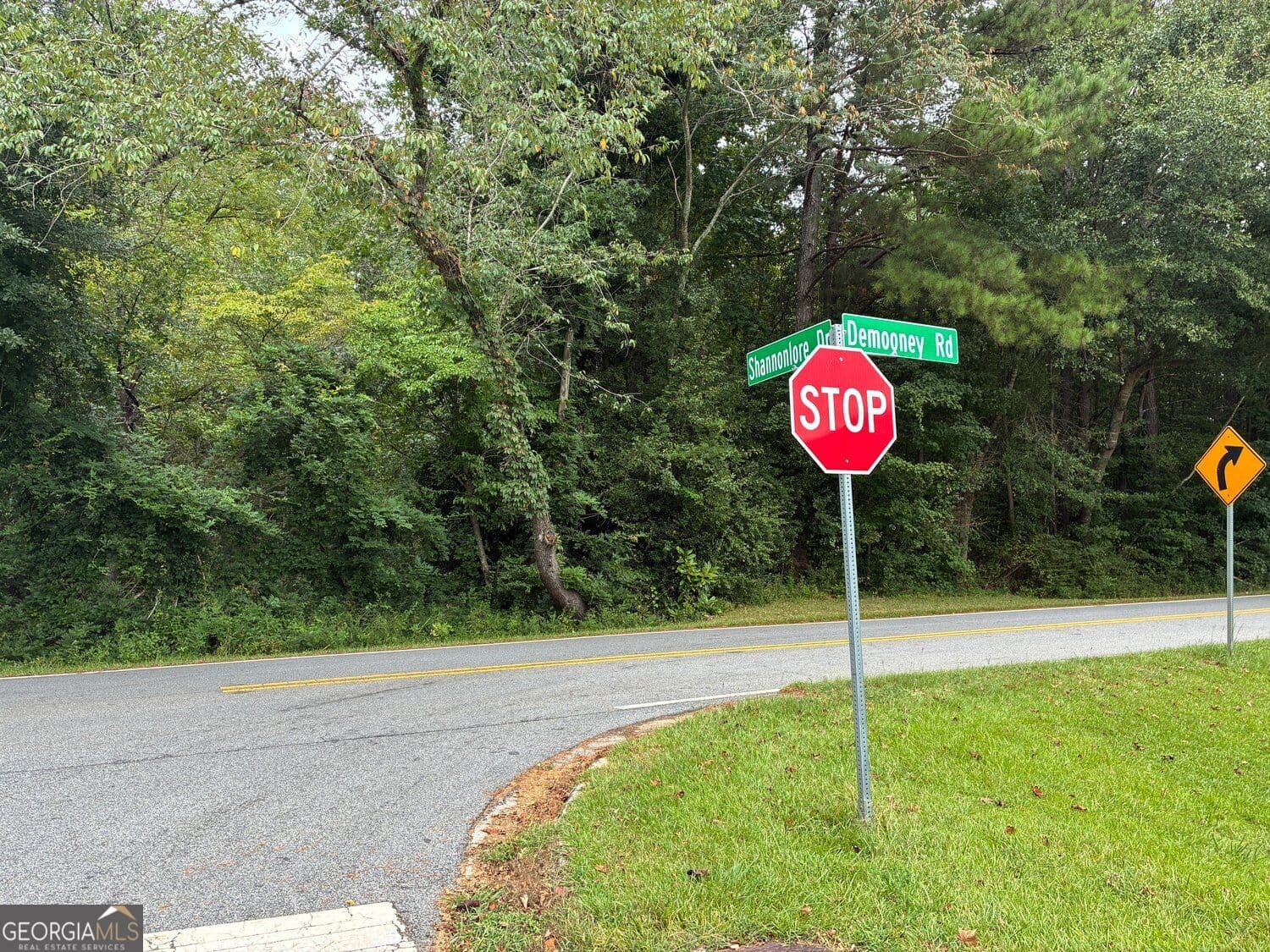 residential lot for sale at 2943 Demooney Road, South Fulton, GA 30349 — photo 4