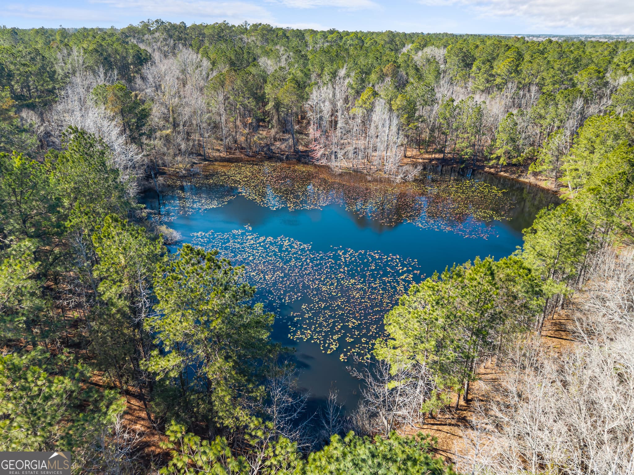 agriculture for sale at 22701 S Highway 129, Cobbtown, GA 30420 — photo 2