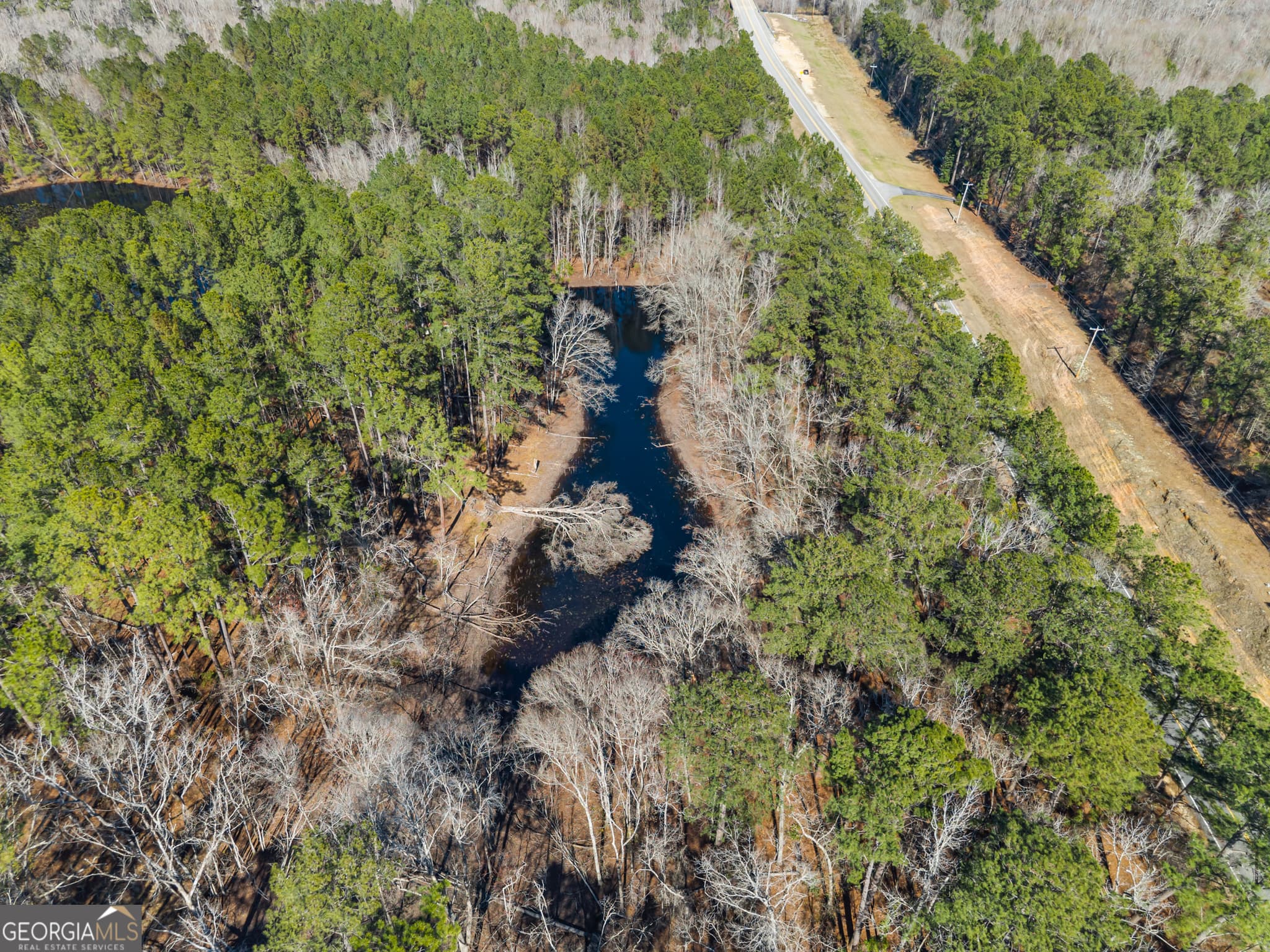 agriculture for sale at 22701 S Highway 129, Cobbtown, GA 30420 — photo 6