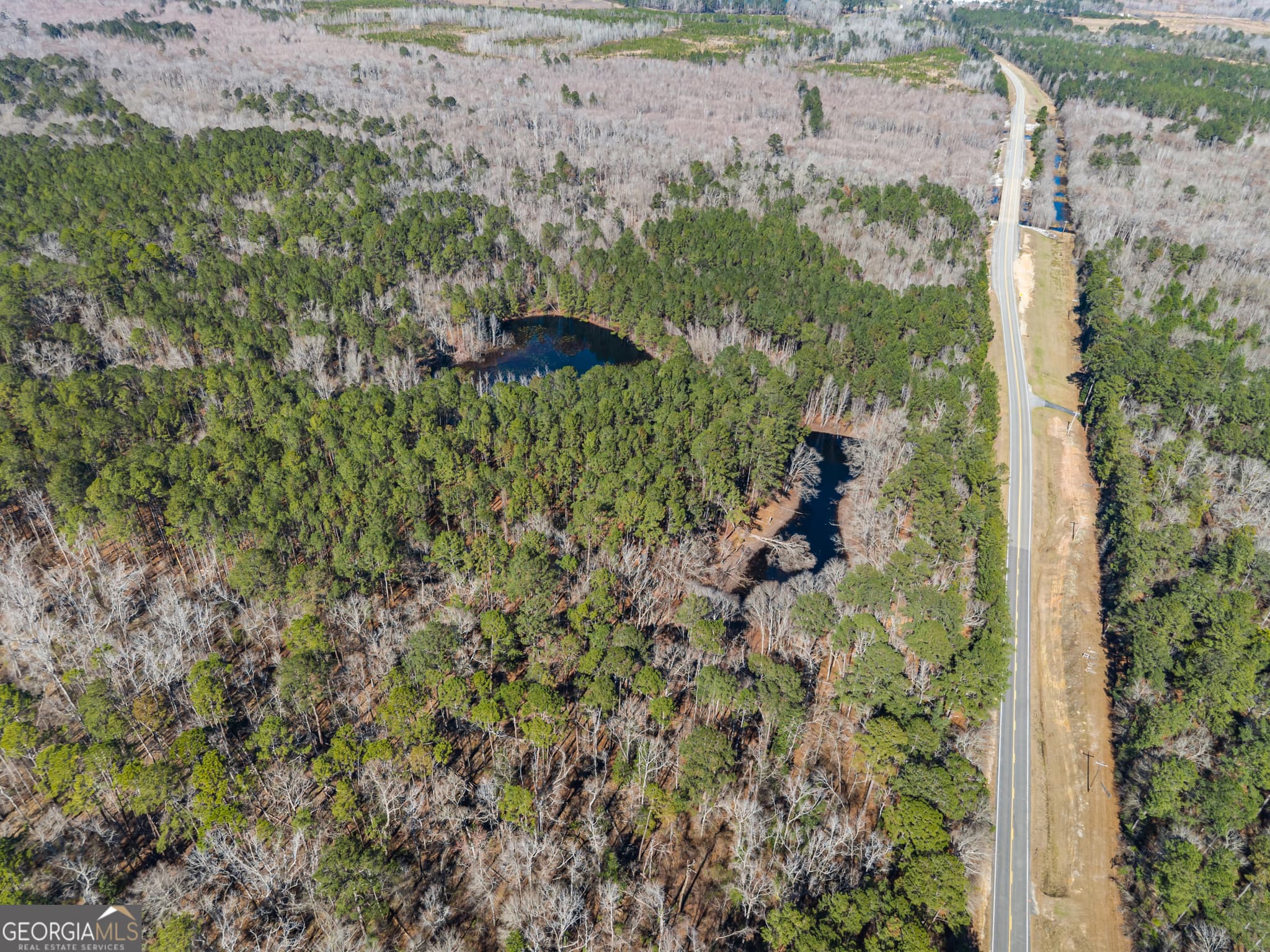 agriculture for sale at 22701 S Highway 129, Cobbtown, GA 30420 — photo 7