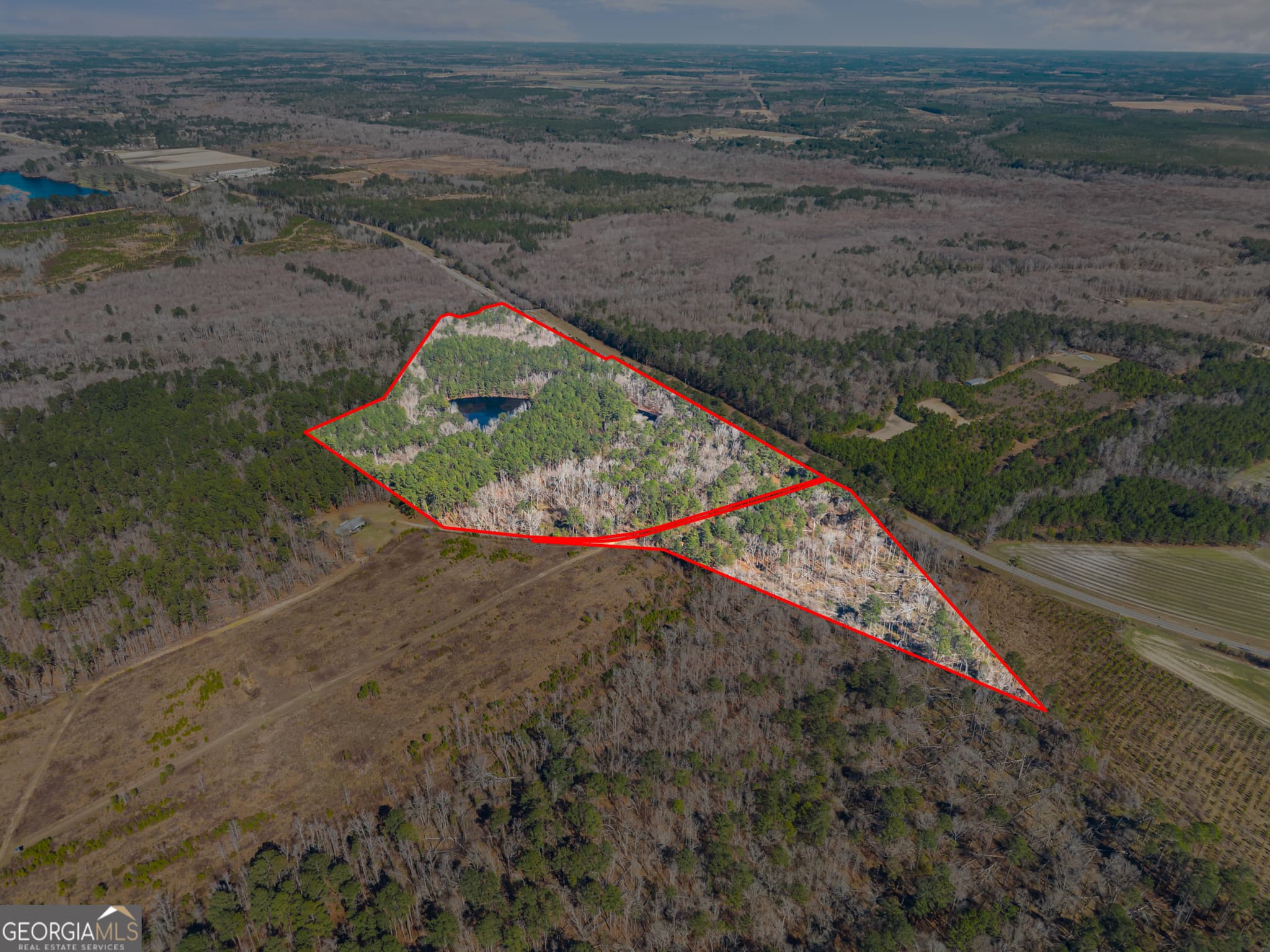 agriculture for sale at 22701 S Highway 129, Cobbtown, GA 30420 — photo 3