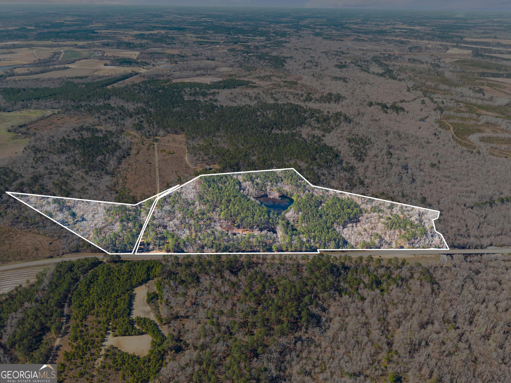 agriculture for sale at 22701 S Highway 129, Cobbtown, GA 30420 — photo 1 of 17