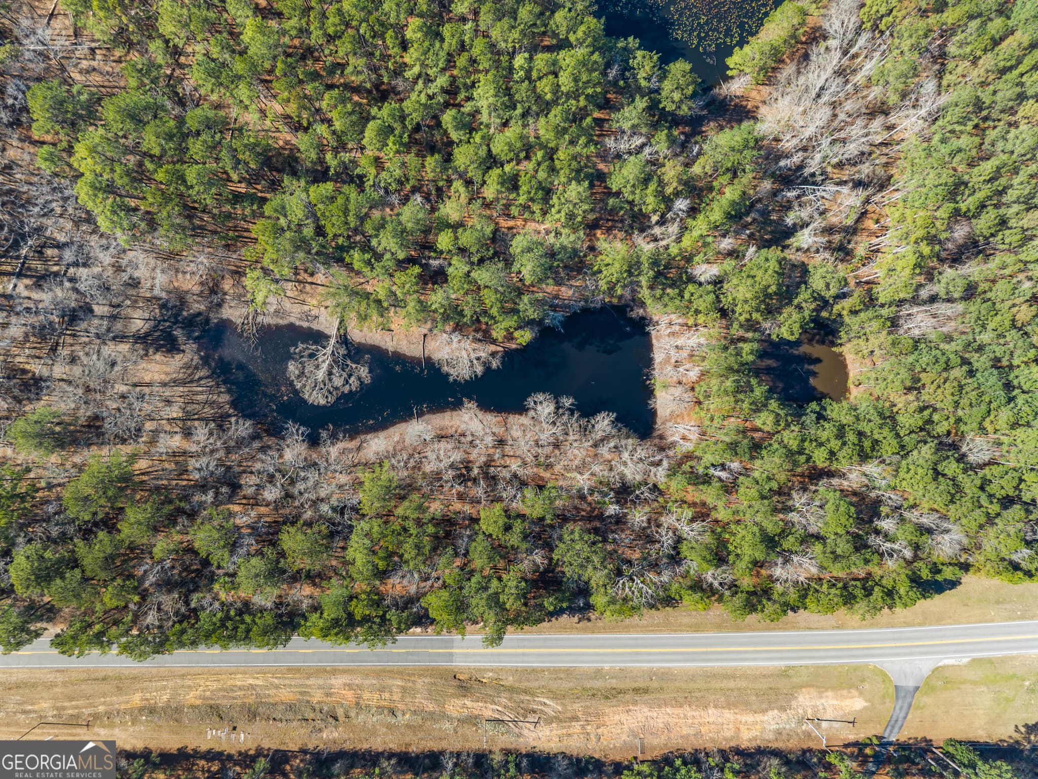 agriculture for sale at 22701 S Highway 129, Cobbtown, GA 30420 — photo 5