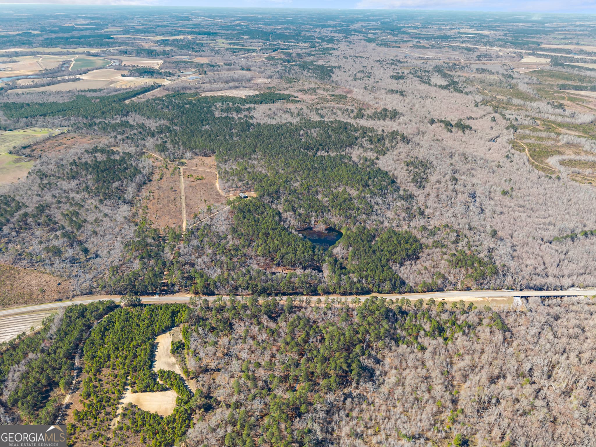 agriculture for sale at 22701 S Highway 129, Cobbtown, GA 30420 — photo 9