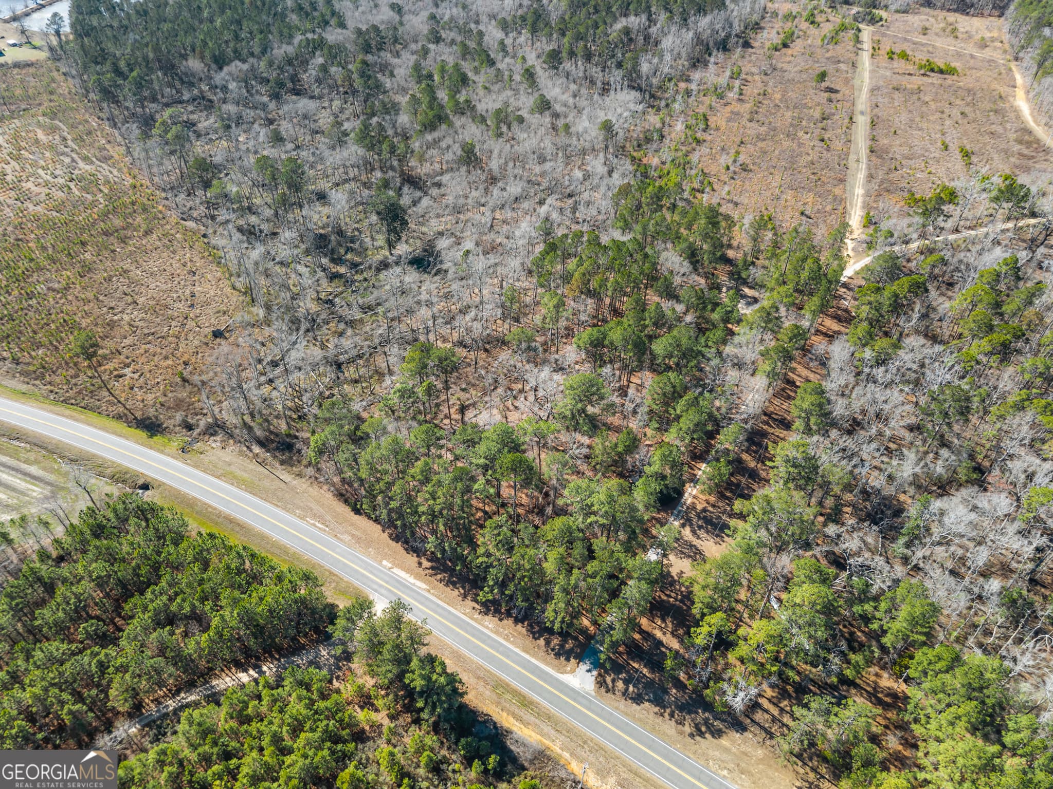 agriculture for sale at 22701 S Highway 129, Cobbtown, GA 30420 — photo 10