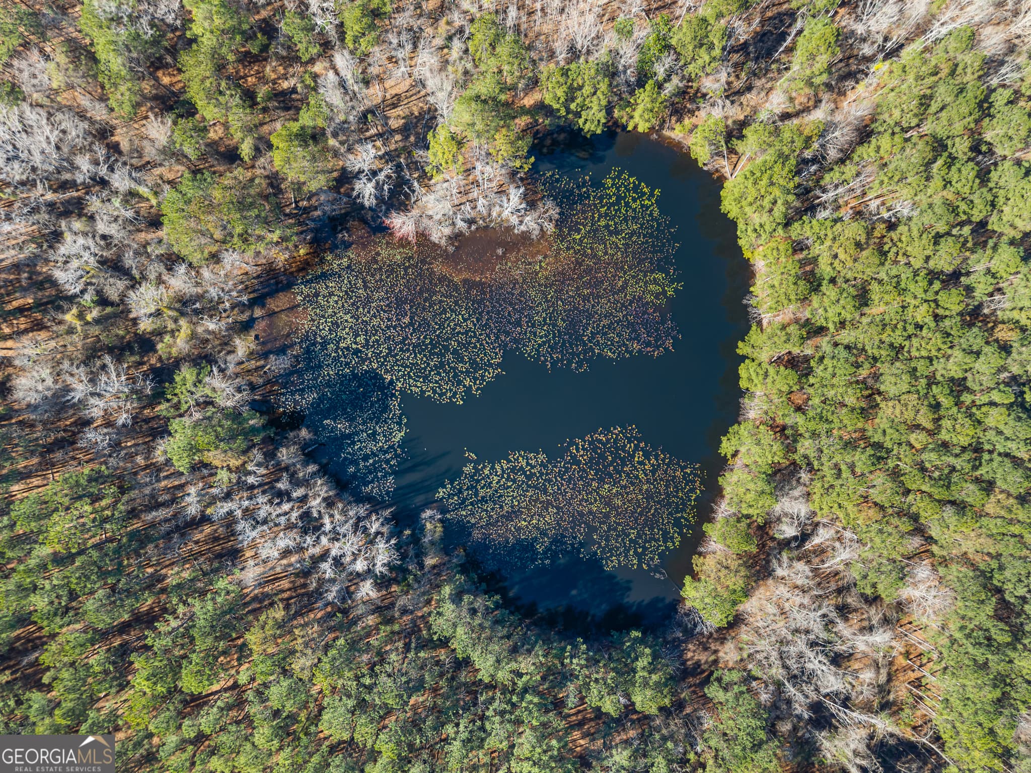 agriculture for sale at 22701 S Highway 129, Cobbtown, GA 30420 — photo 4