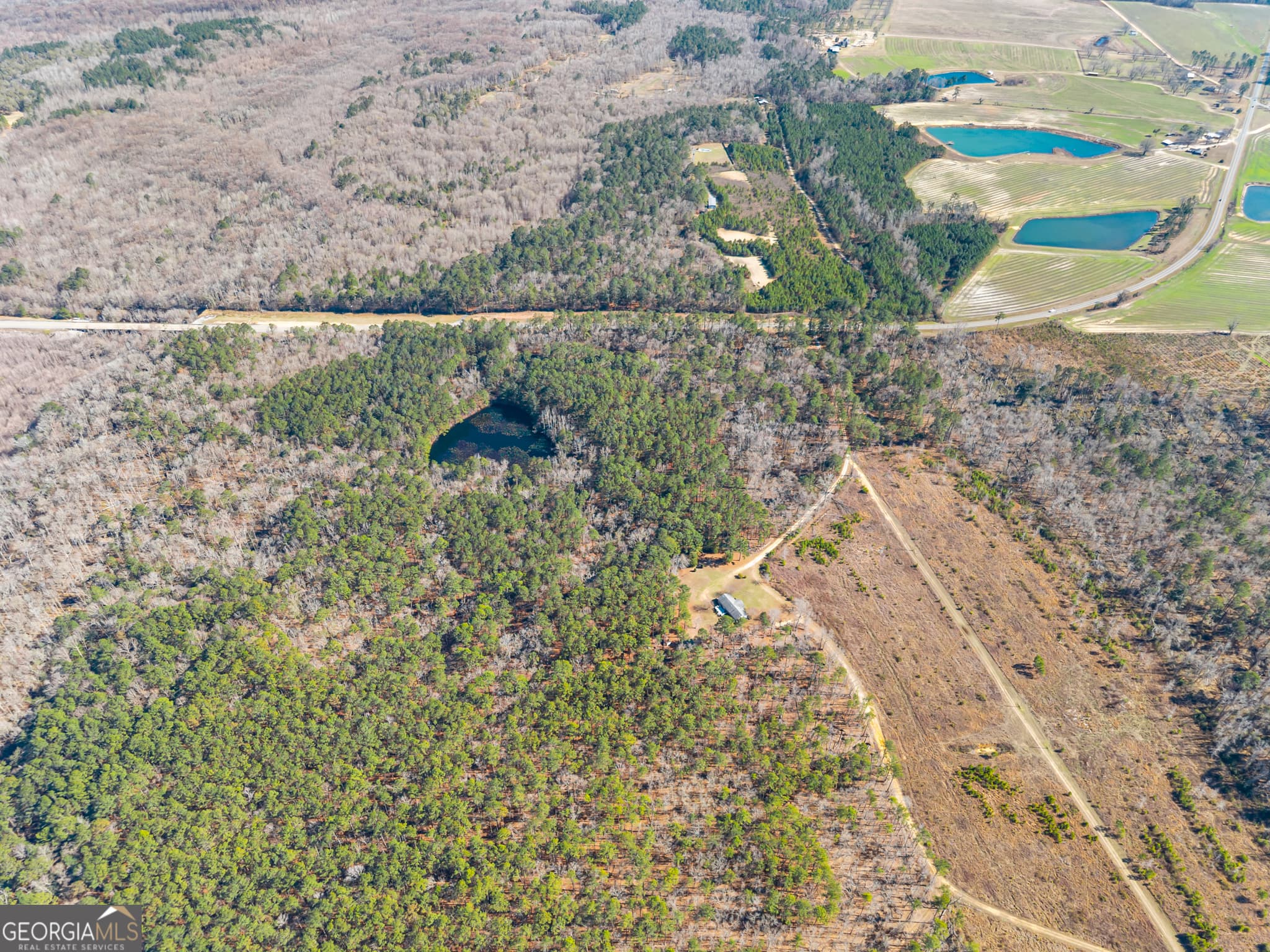 agriculture for sale at 22701 S Highway 129, Cobbtown, GA 30420 — photo 8