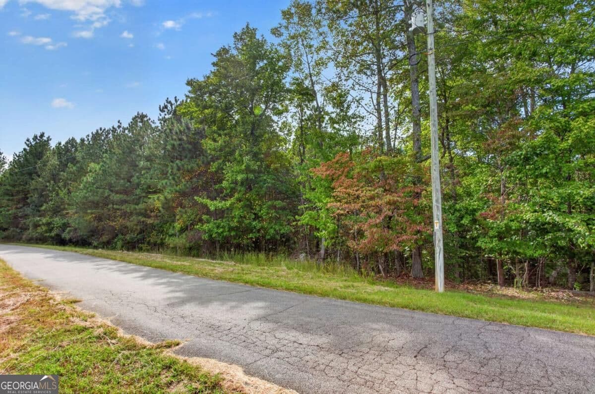 residential lot for sale at 0 Weatherby Road 4, Ball Ground, GA 30107 — photo 6