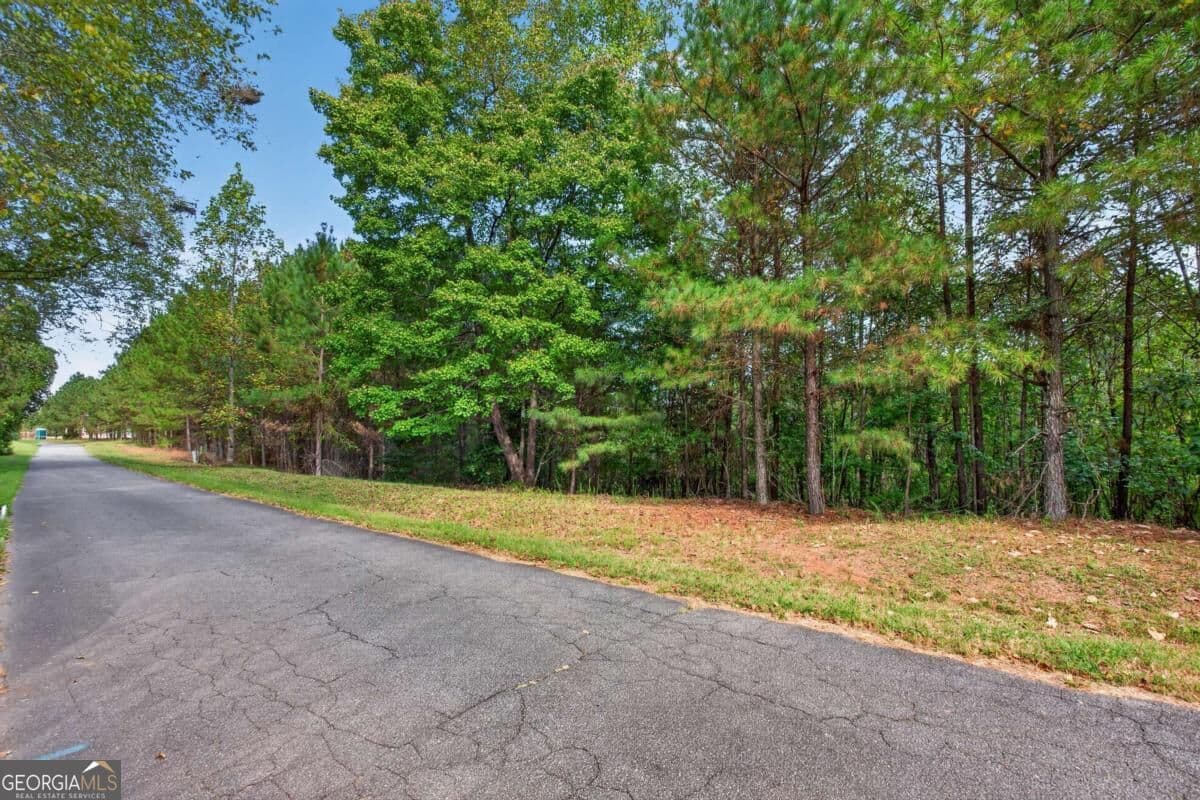residential lot for sale at 0 Weatherby Road 4, Ball Ground, GA 30107 — photo 5
