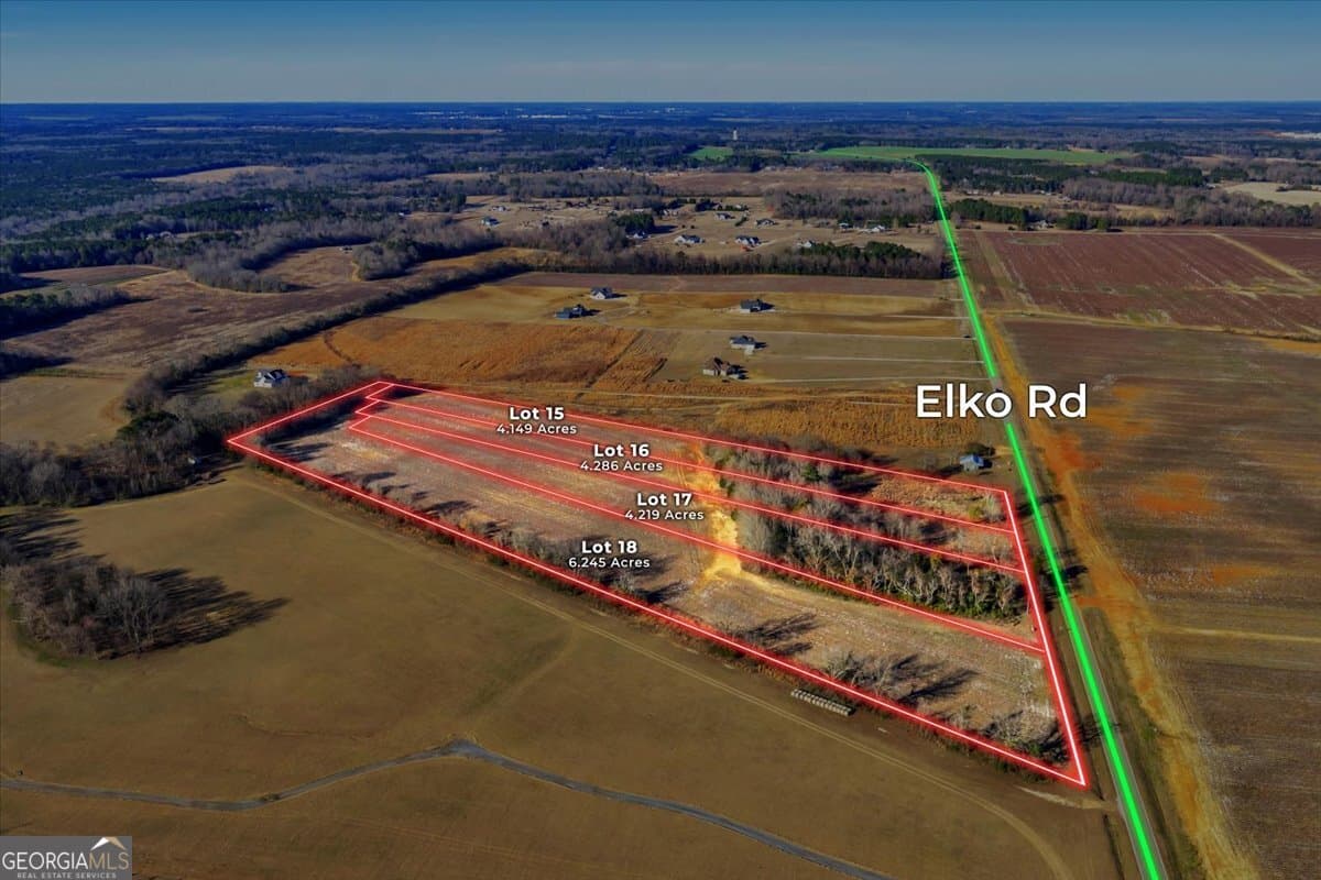 agriculture for sale at 2585 (LOT 15) Elko Road, Elko, GA 31025 — photo 2