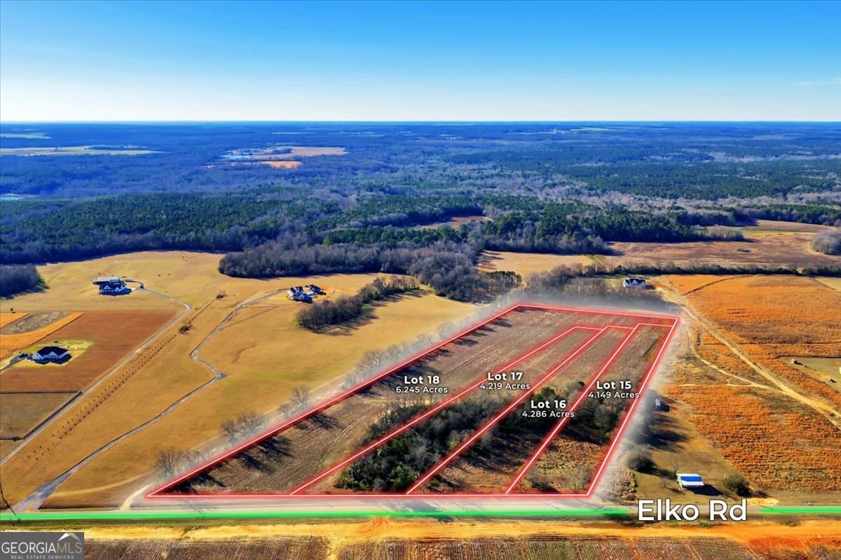 agriculture for sale at 2585 (LOT 15) Elko Road, Elko, GA 31025