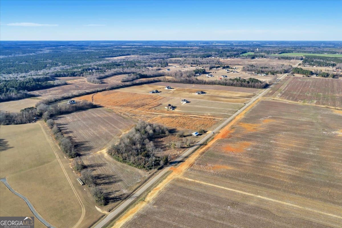 agriculture for sale at 2585 (LOT 15) Elko Road, Elko, GA 31025 — photo 5