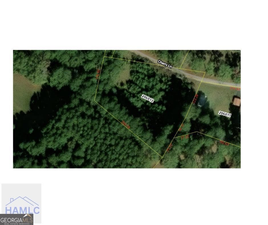residential lot for sale at 0 Cherry Lane, Hinesville, GA 31313 — photo 2