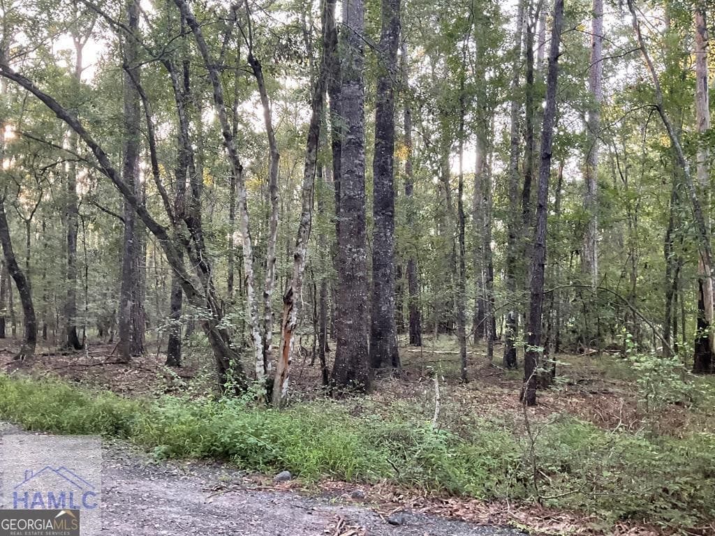 residential lot for sale at 0 Cherry Lane, Hinesville, GA 31313