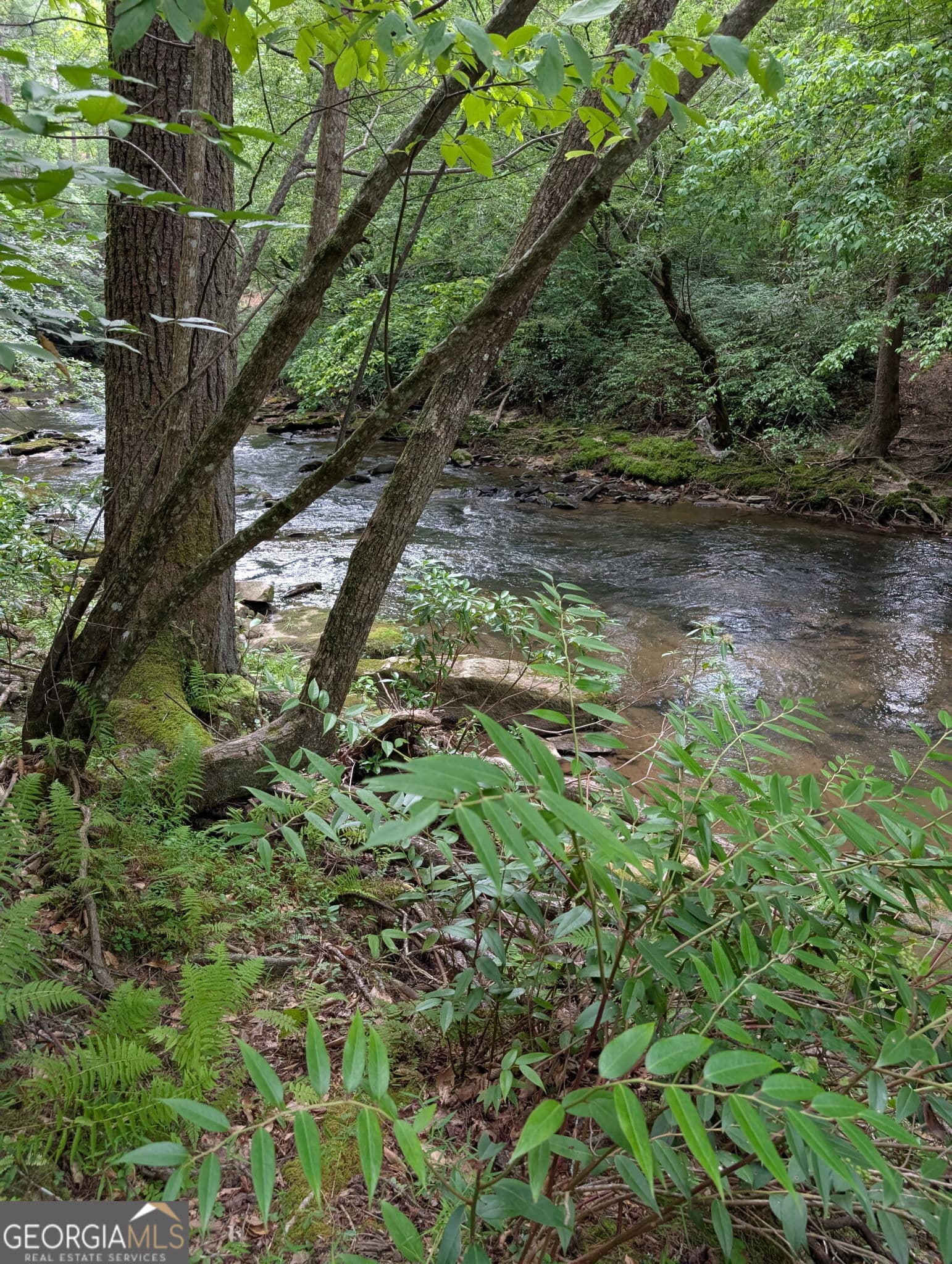 residential lot for sale at LOT 32 Byers Road, Blairsville, GA 30512 — photo 6