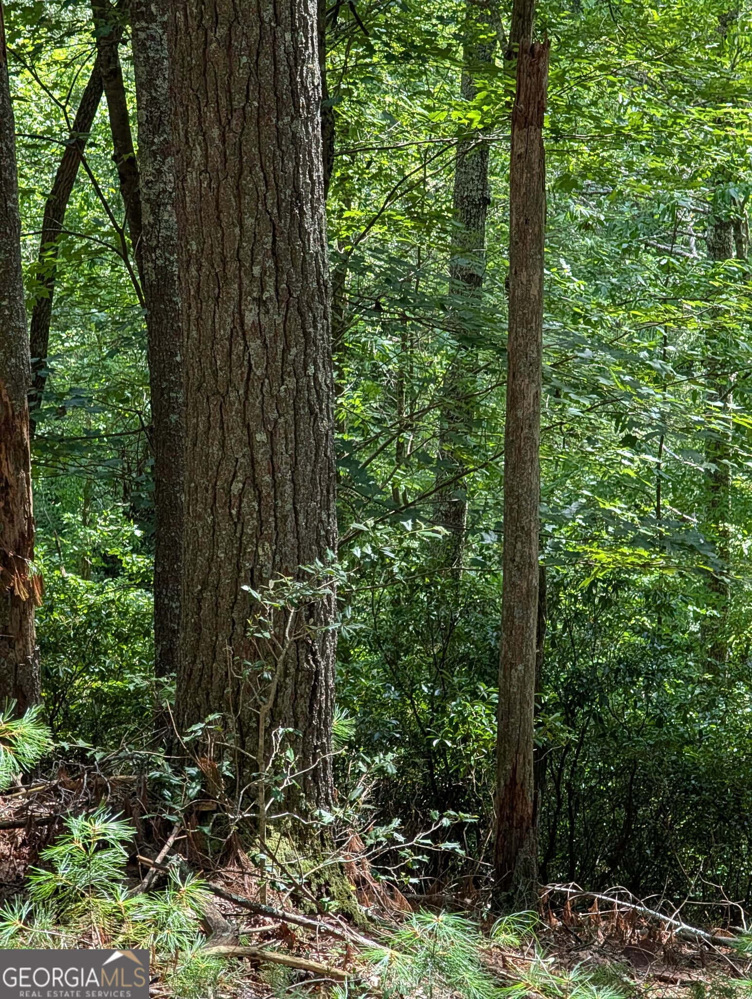 residential lot for sale at LOT 32 Byers Road, Blairsville, GA 30512 — photo 7