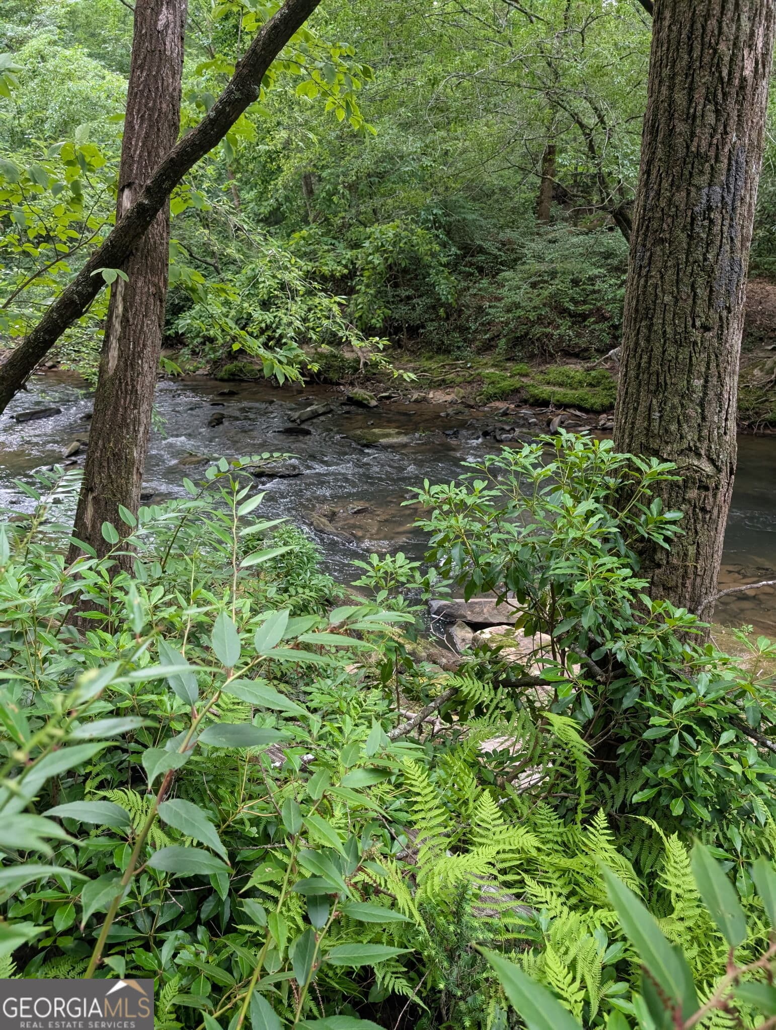residential lot for sale at LOT 32 Byers Road, Blairsville, GA 30512 — photo 3