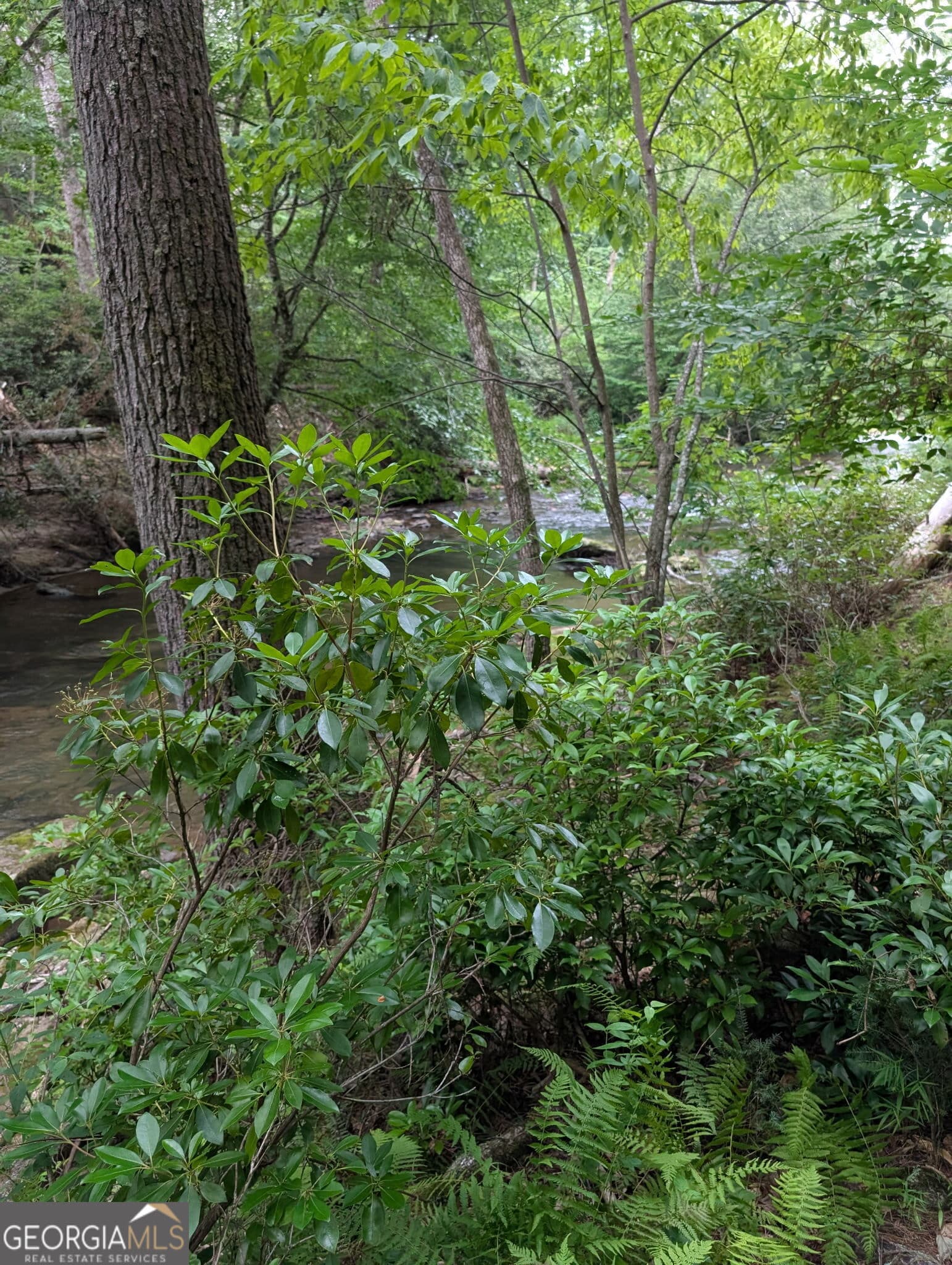 residential lot for sale at LOT 32 Byers Road, Blairsville, GA 30512 — photo 1 of 8