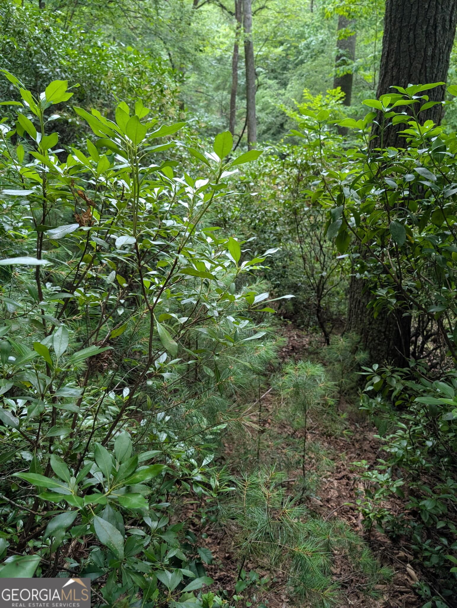 residential lot for sale at LOT 32 Byers Road, Blairsville, GA 30512 — photo 5