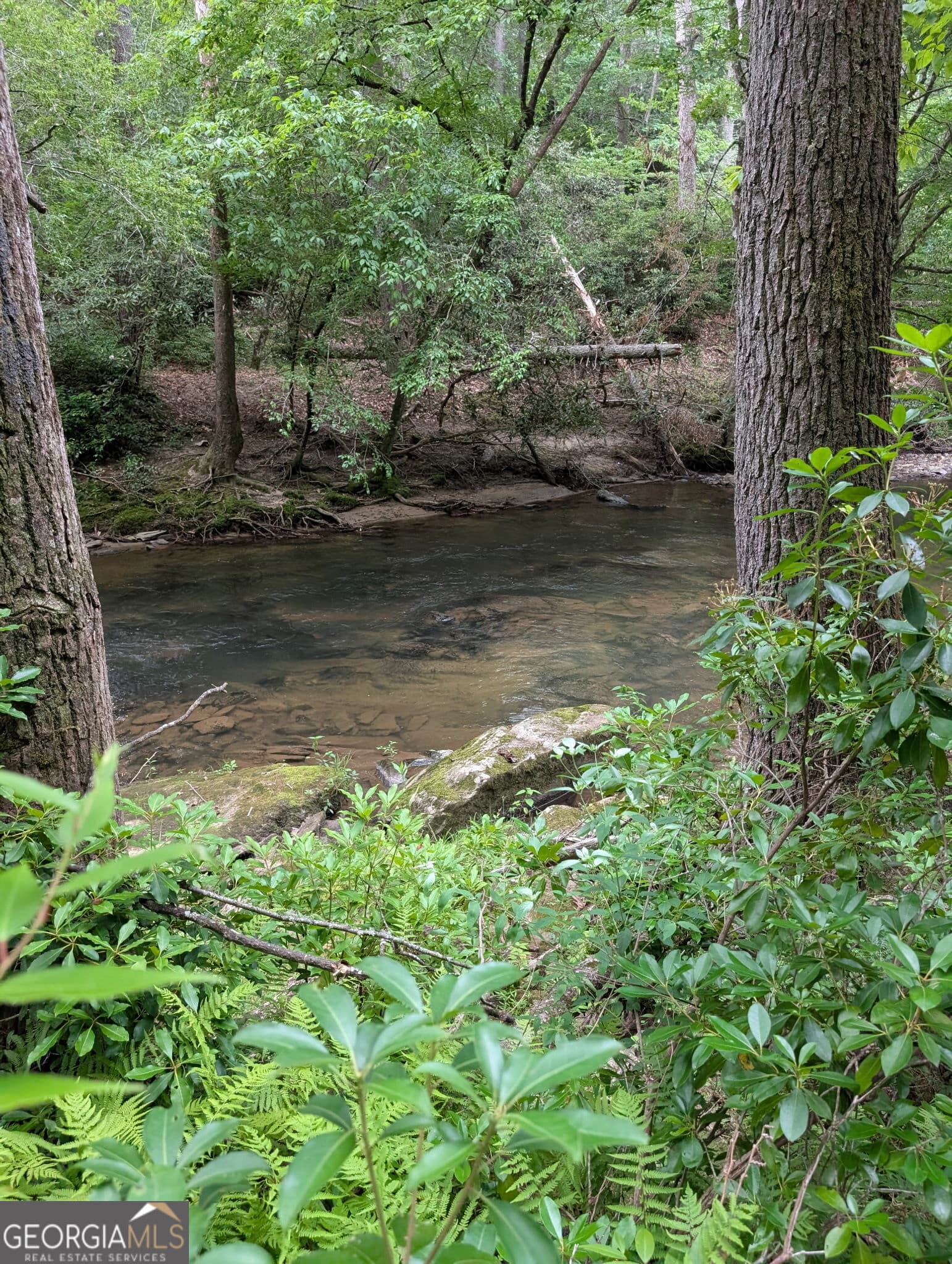 residential lot for sale at LOT 32 Byers Road, Blairsville, GA 30512 — photo 4